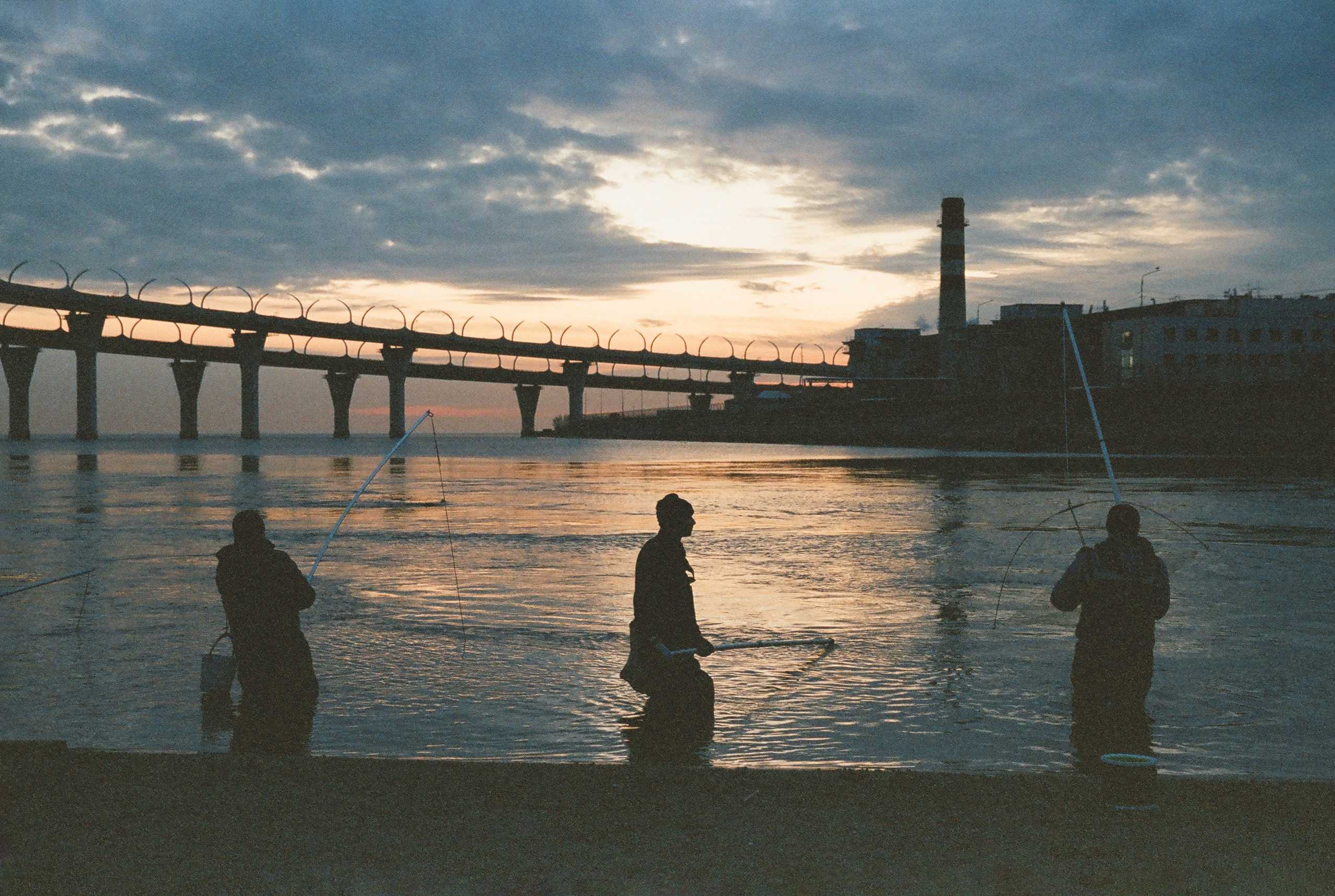 Фотографии цветные. Свадебный и семейный пленочный фотограф в Петербурге Истомина Ирина