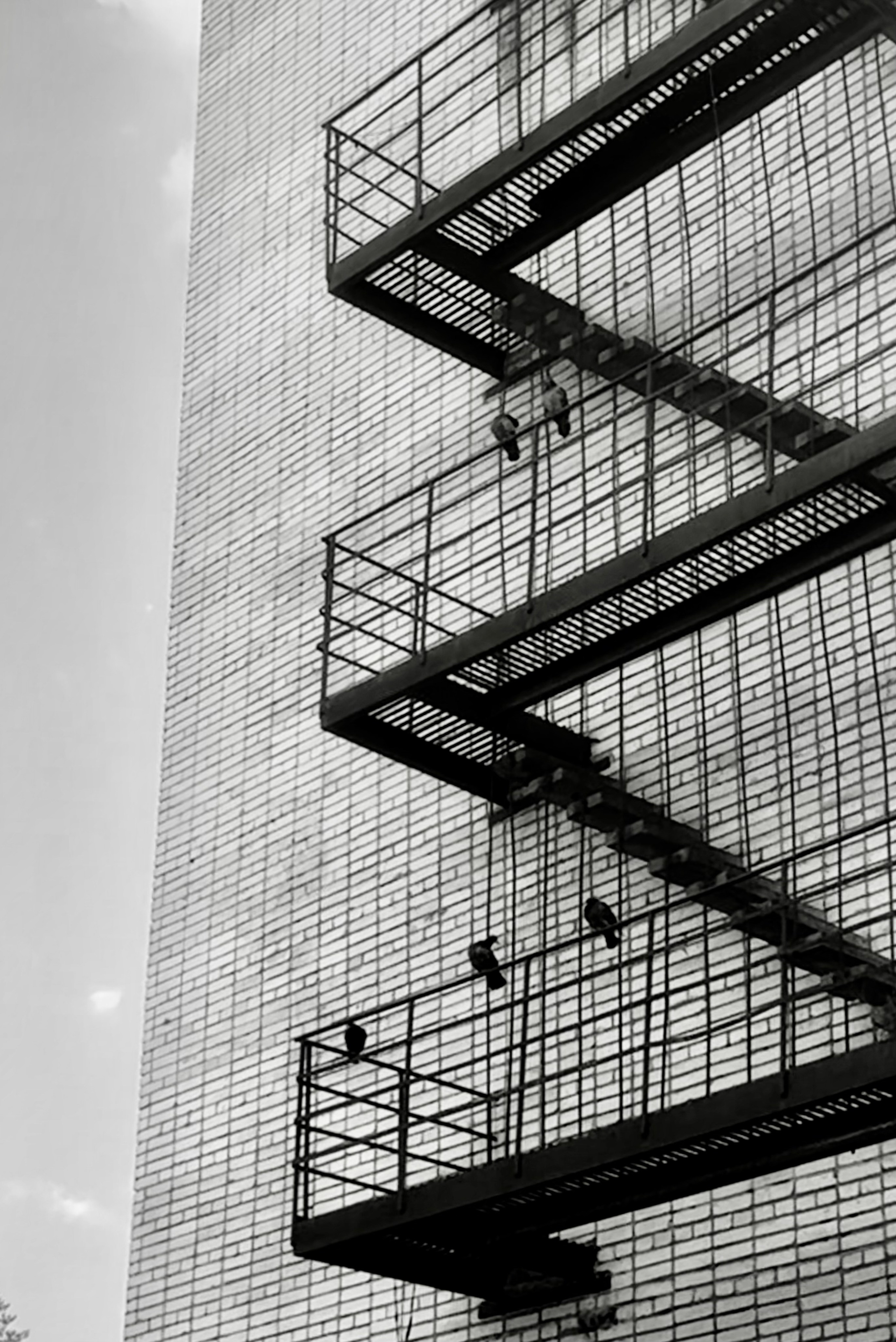 Уличный. Фотограф Арсений Королев