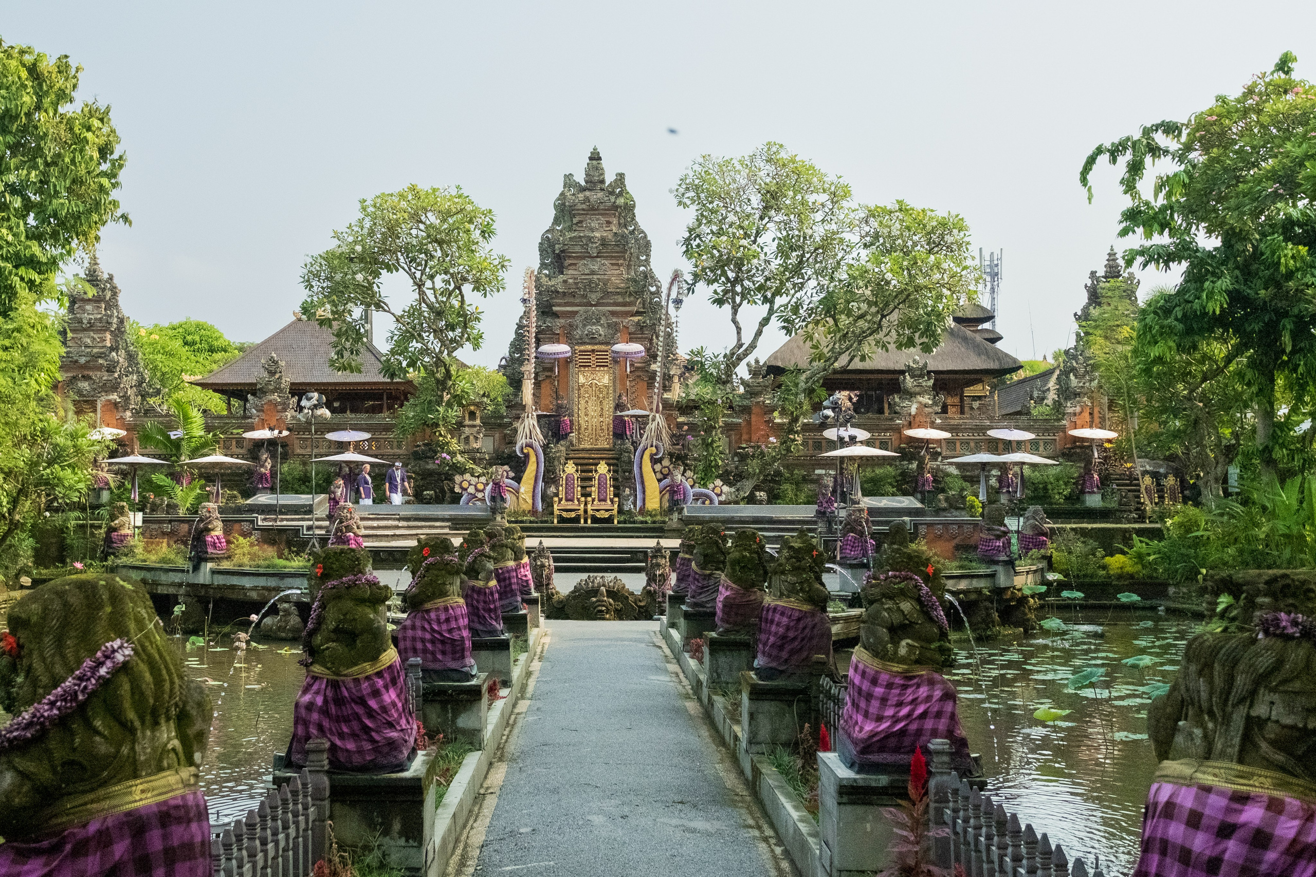 Остров Бали г. Убуд. Фотографии из путешествий