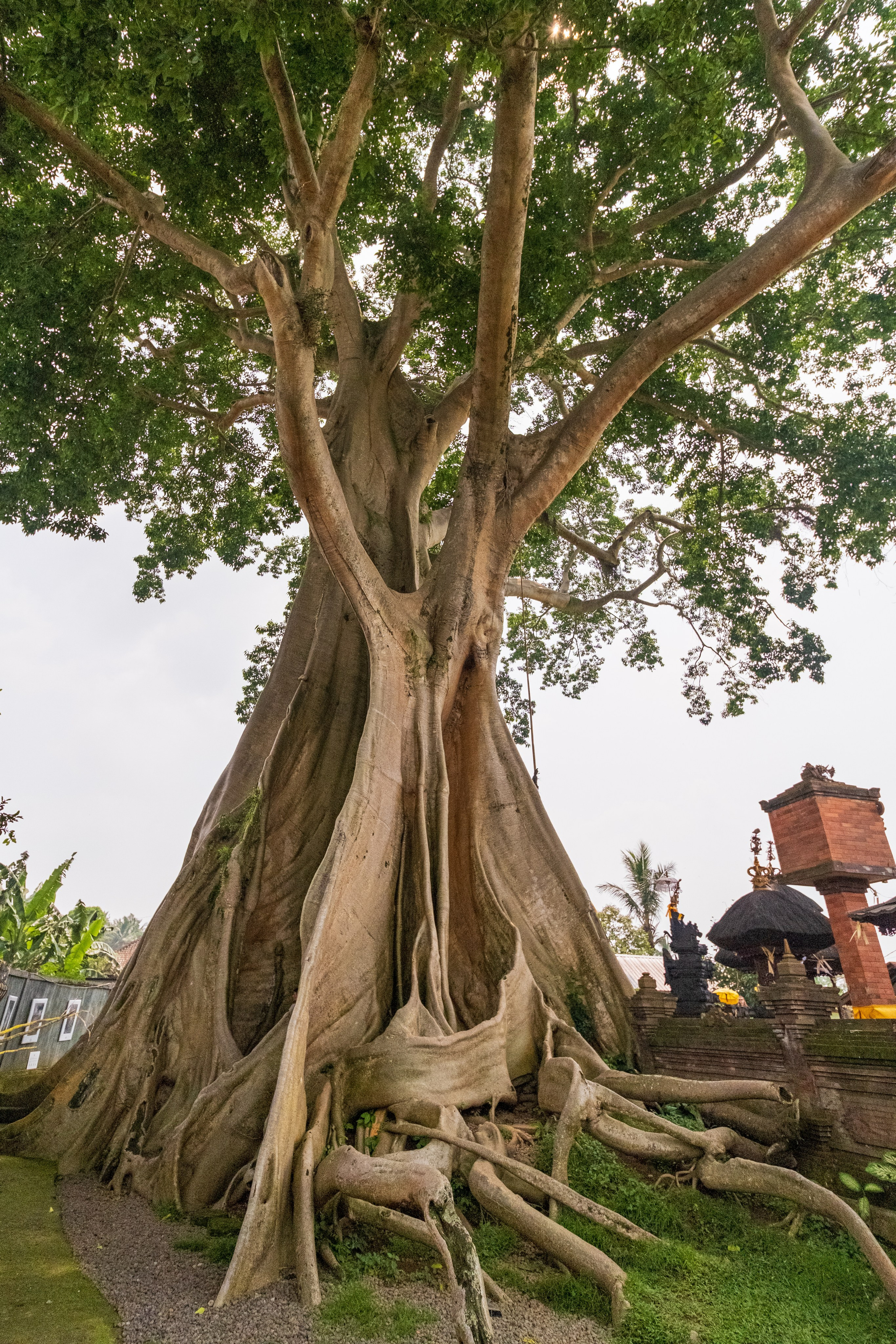 Остров Бали. Фотографии из путешествий