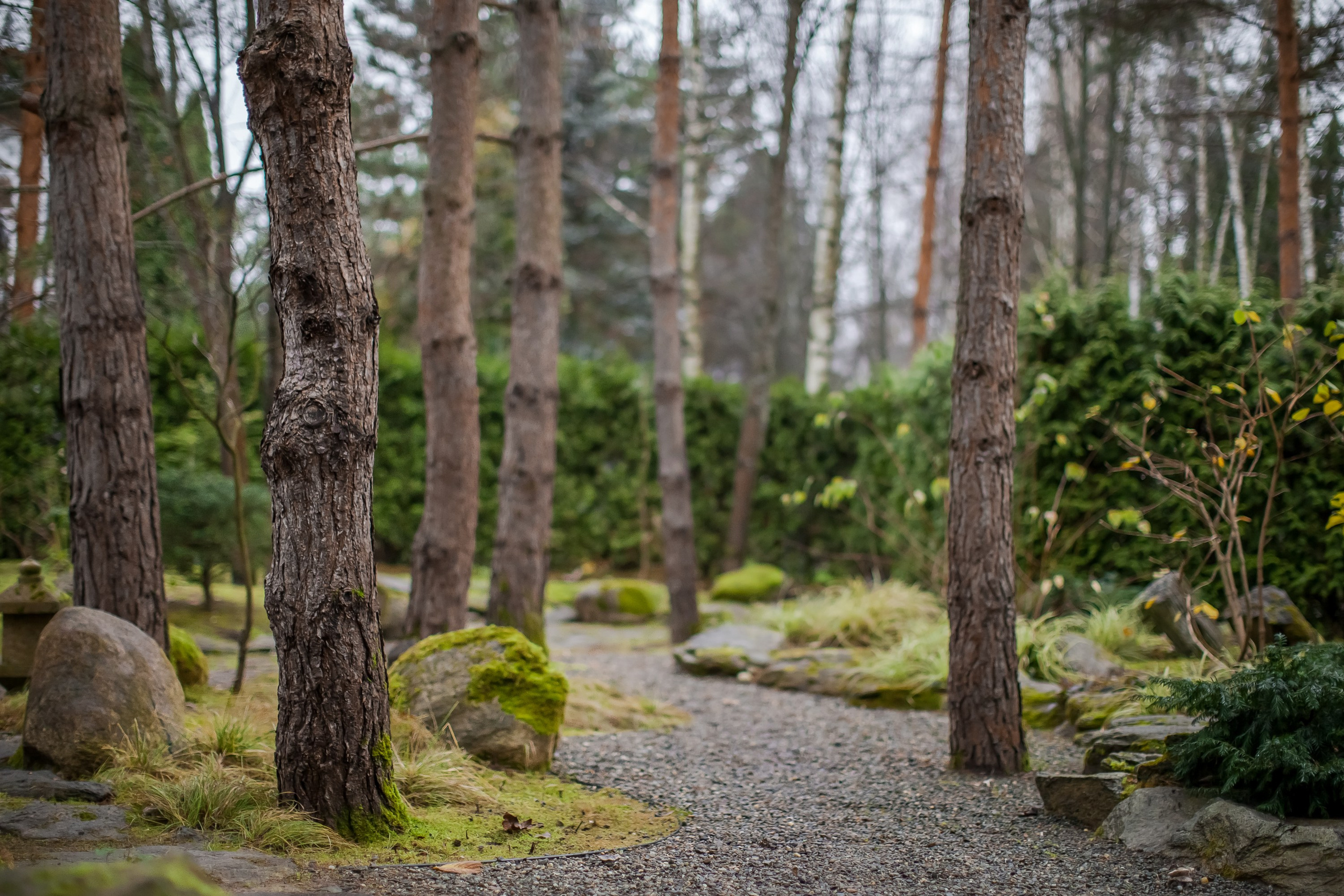 ОСТОРОЖНО МОХ. Туманов Виталий — фотограф Москва