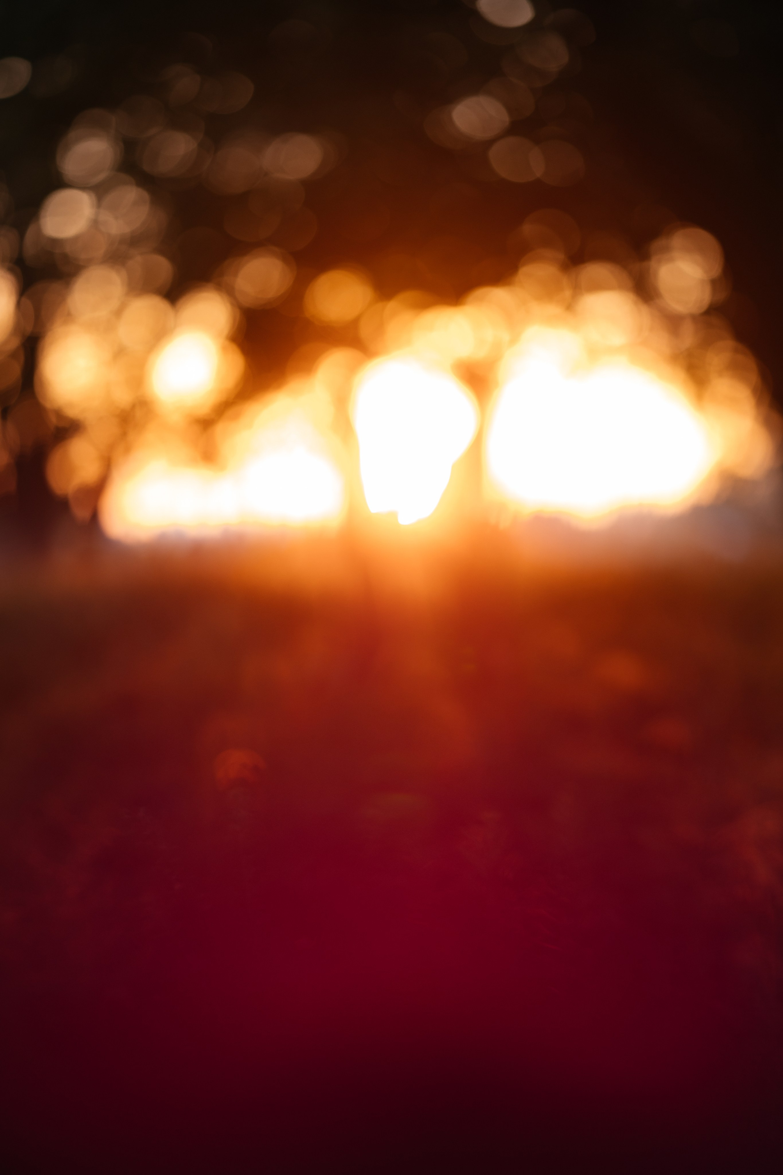 В ожидании чуда. Фотограф Крохин Олег