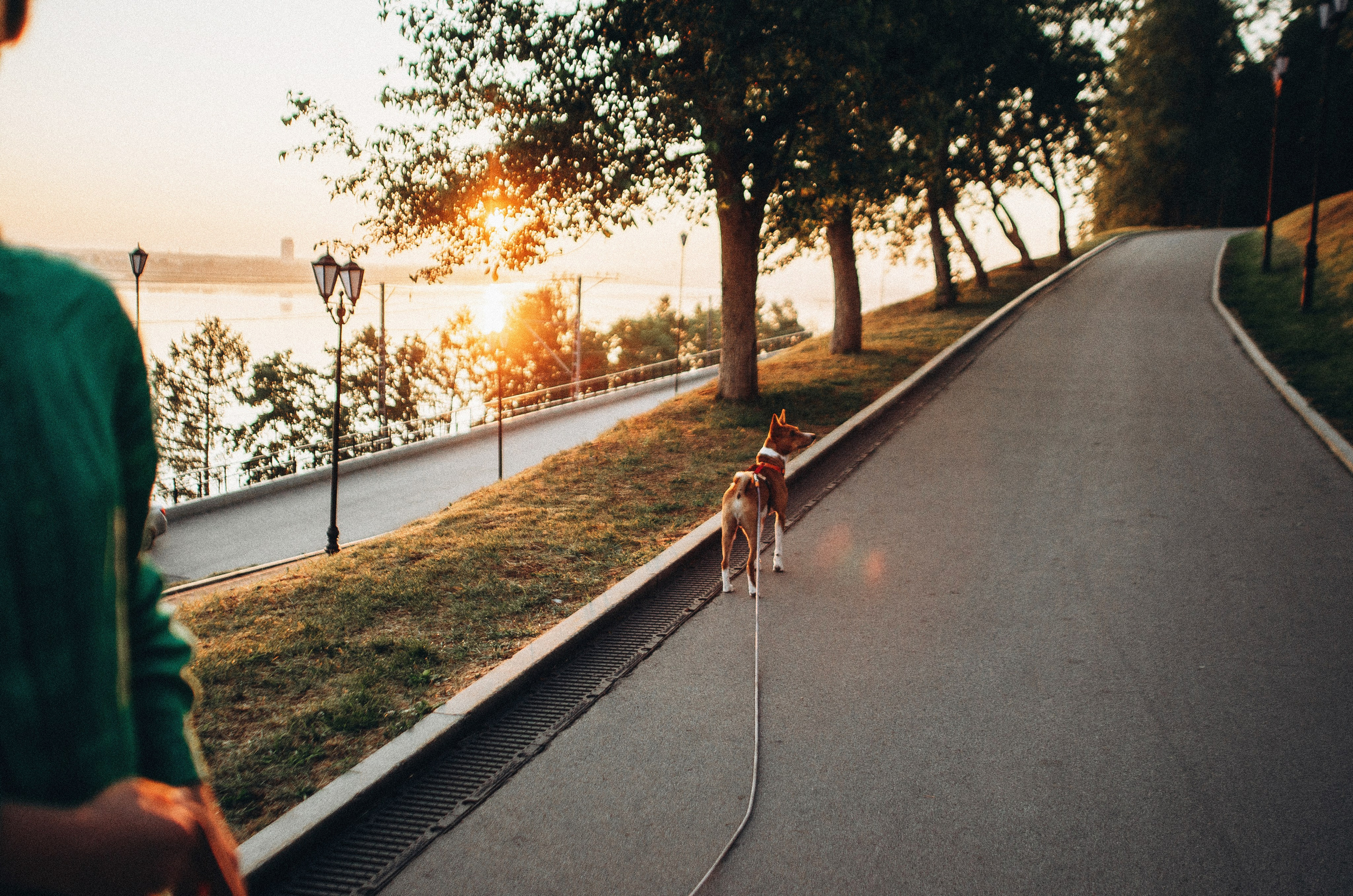 Снежана и Мэнни. Фотограф-анималист Богданова Полина