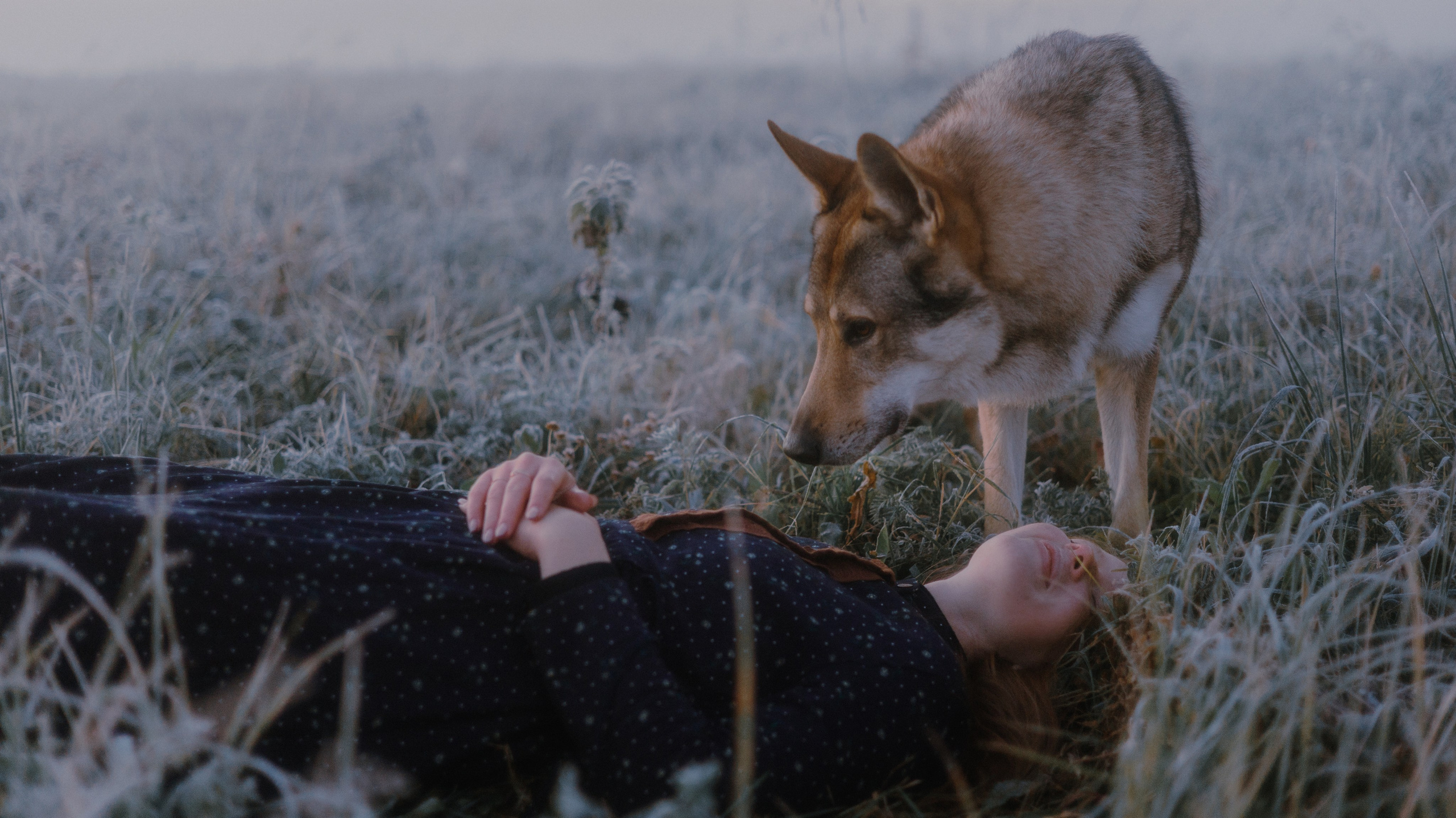 Полина и Вегард. Фотограф-анималист Богданова Полина