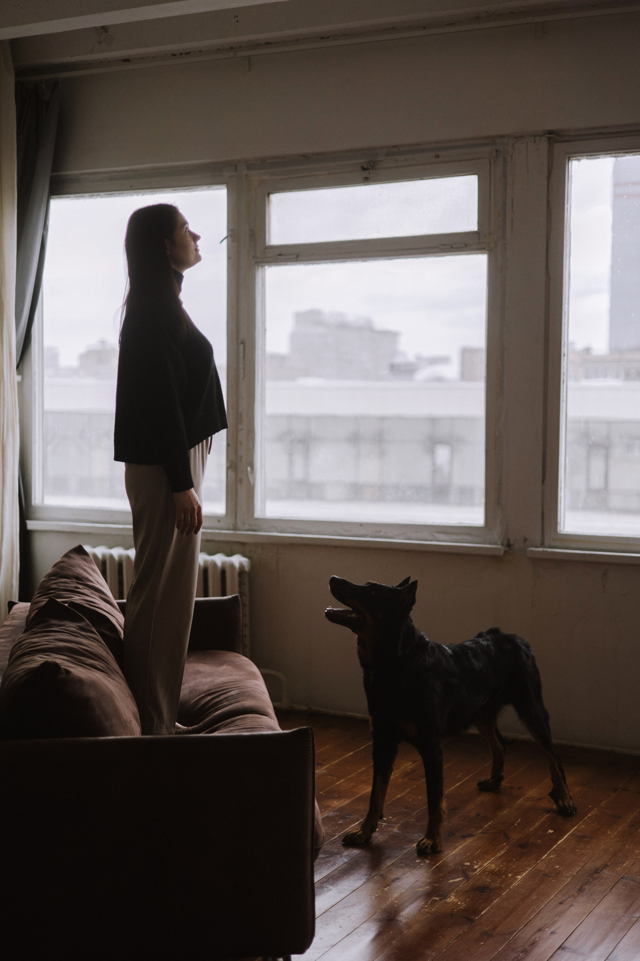 Полина и Зевс. Фотограф-анималист Богданова Полина