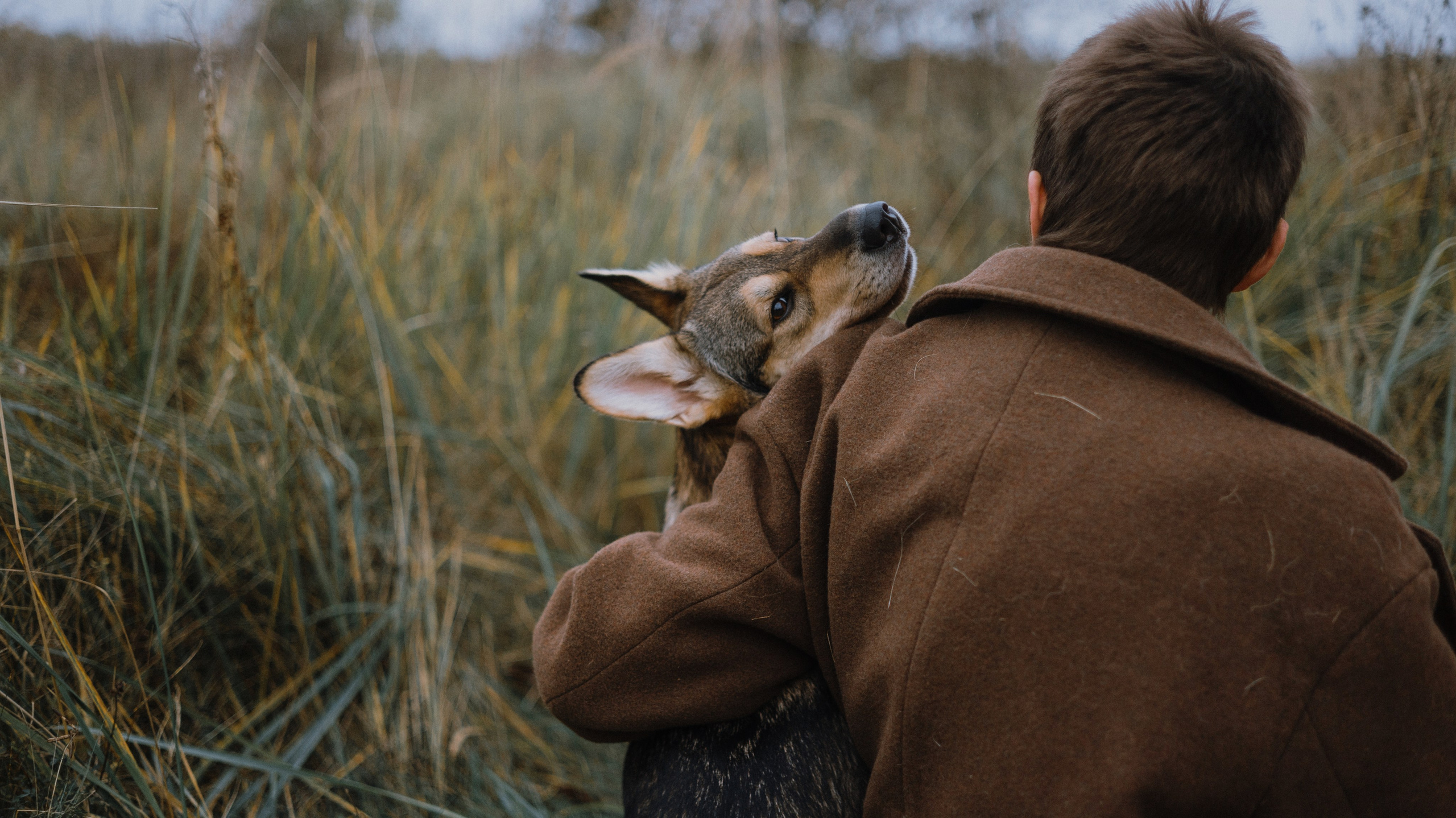 Маша, Катя, Астрид и Мася. Фотограф-анималист Богданова Полина