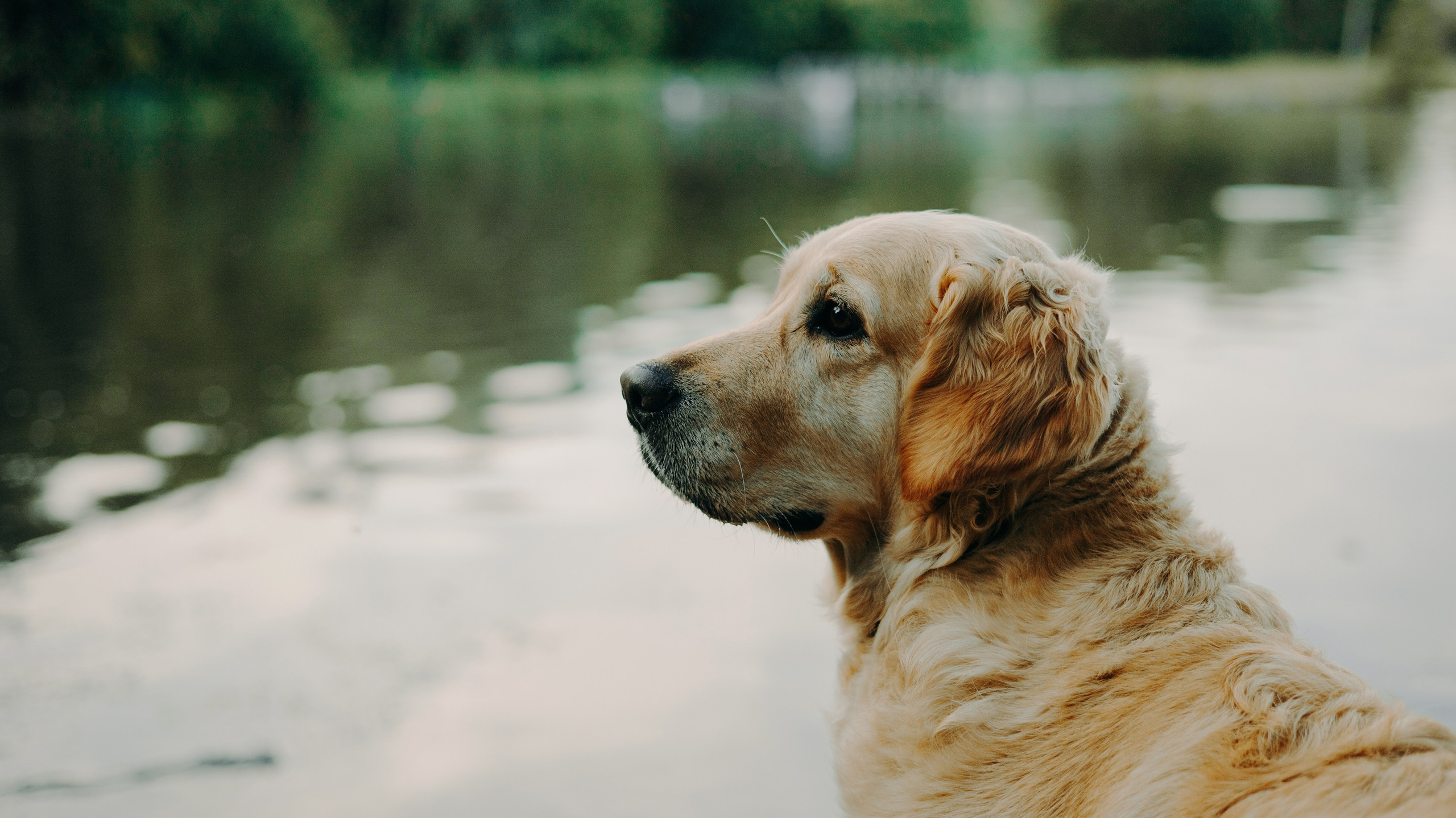 Марина и Чили. Фотограф-анималист Богданова Полина