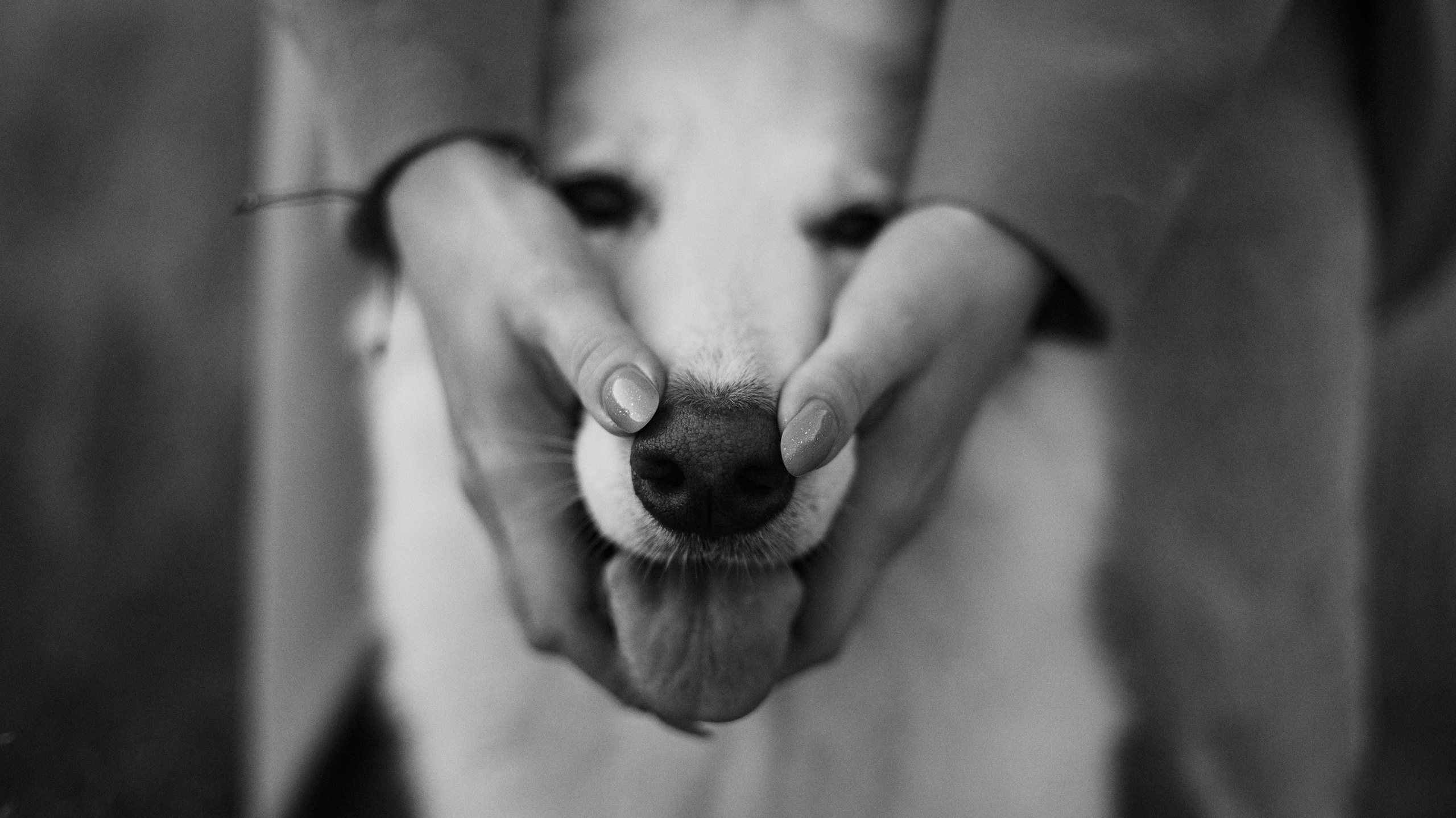 Вика и Уля. Фотограф-анималист Богданова Полина