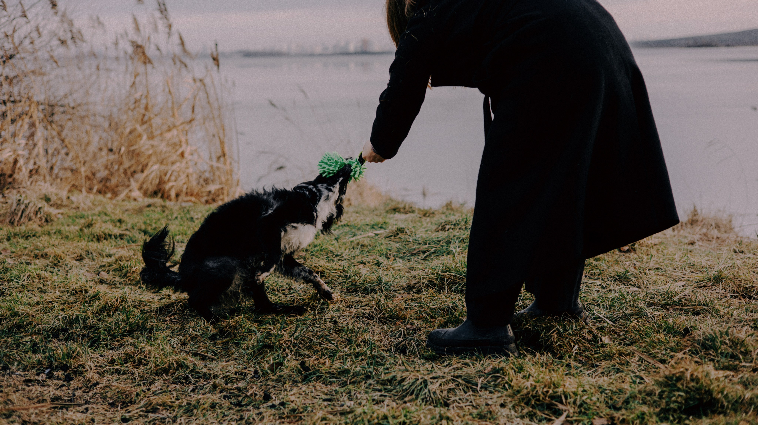 Полина и Сейви. Фотограф-анималист Богданова Полина