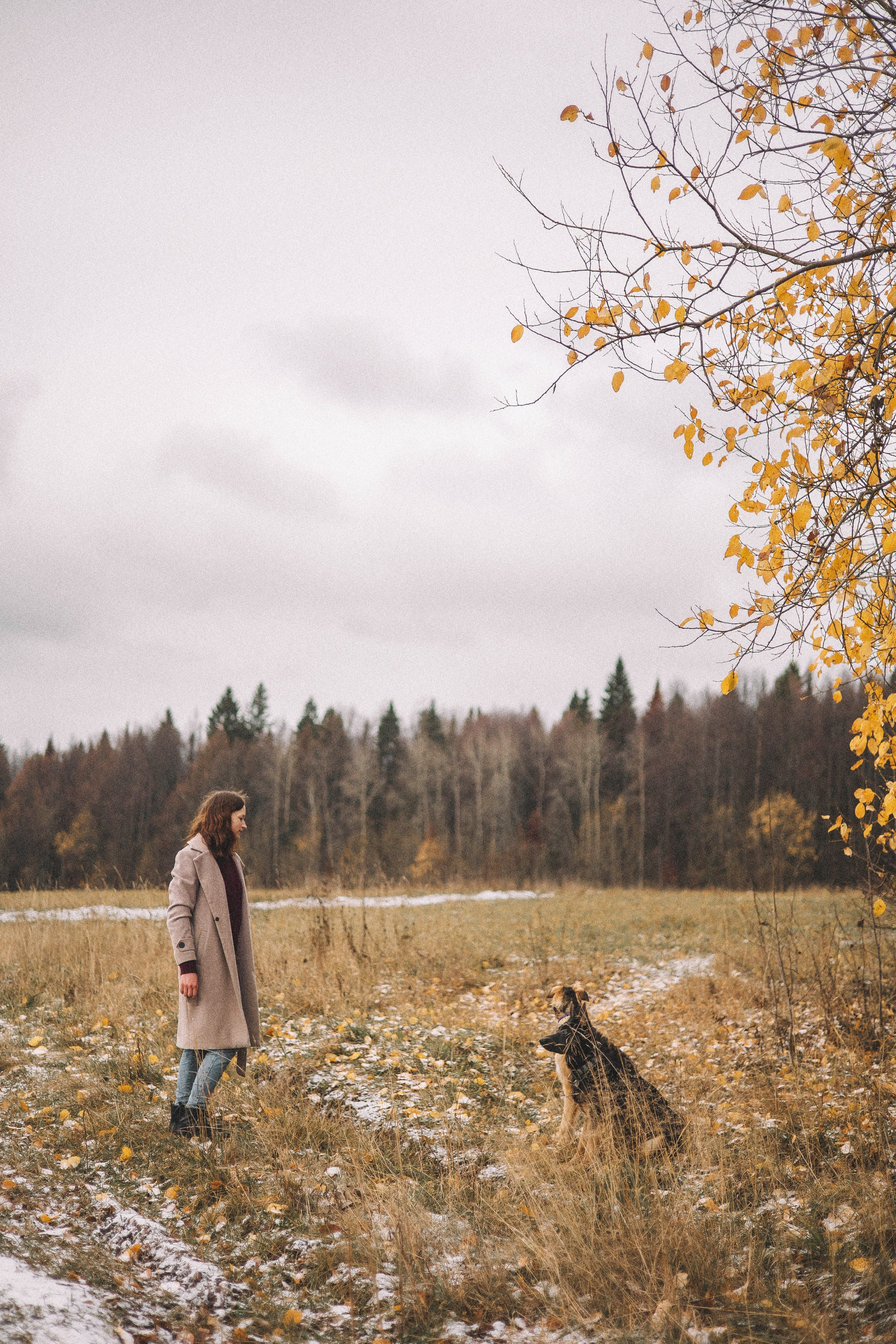 Алена, Леви и Микаса. Фотограф-анималист Богданова Полина