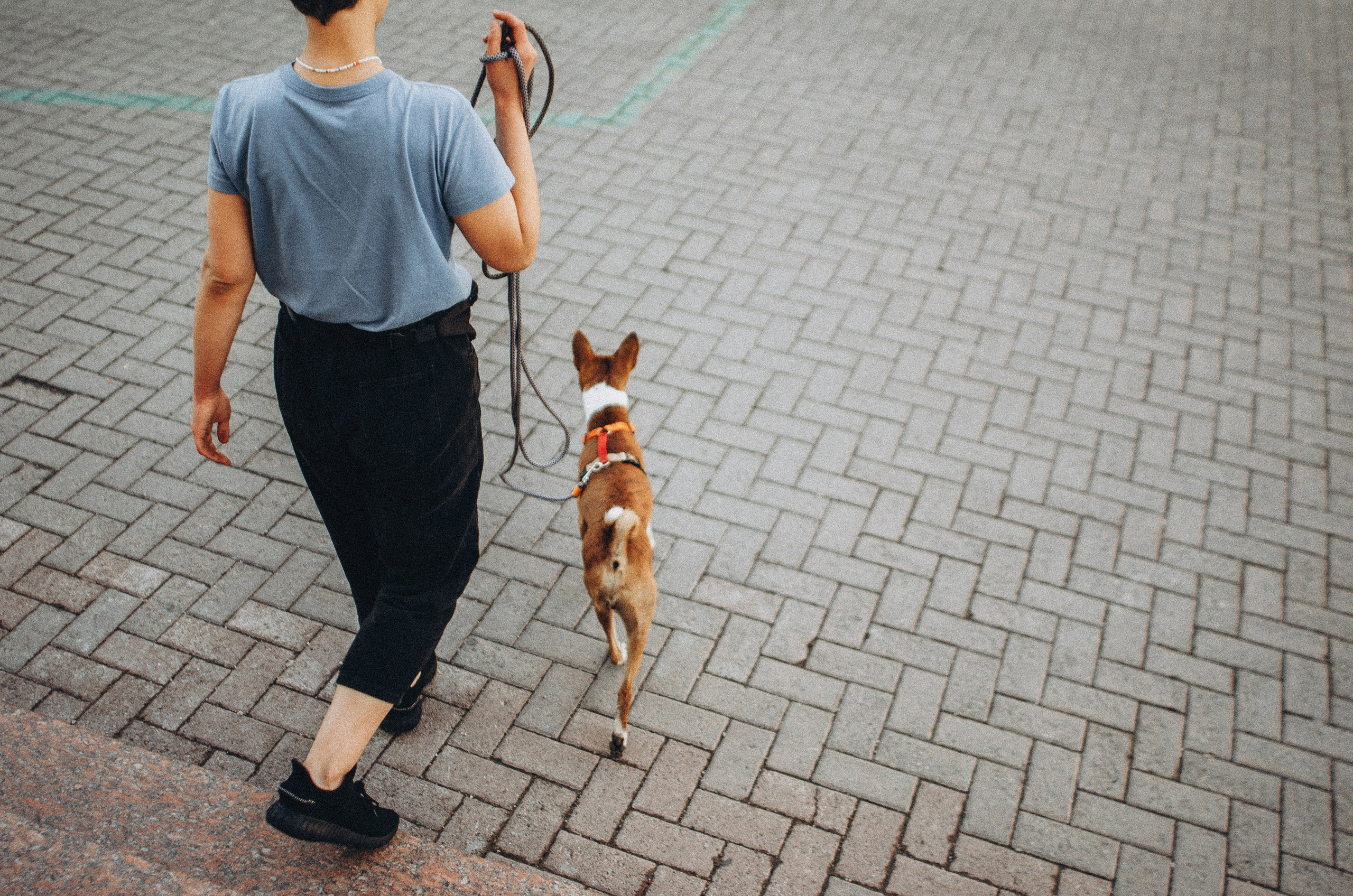 Снежана и Мэнни. Фотограф-анималист Богданова Полина