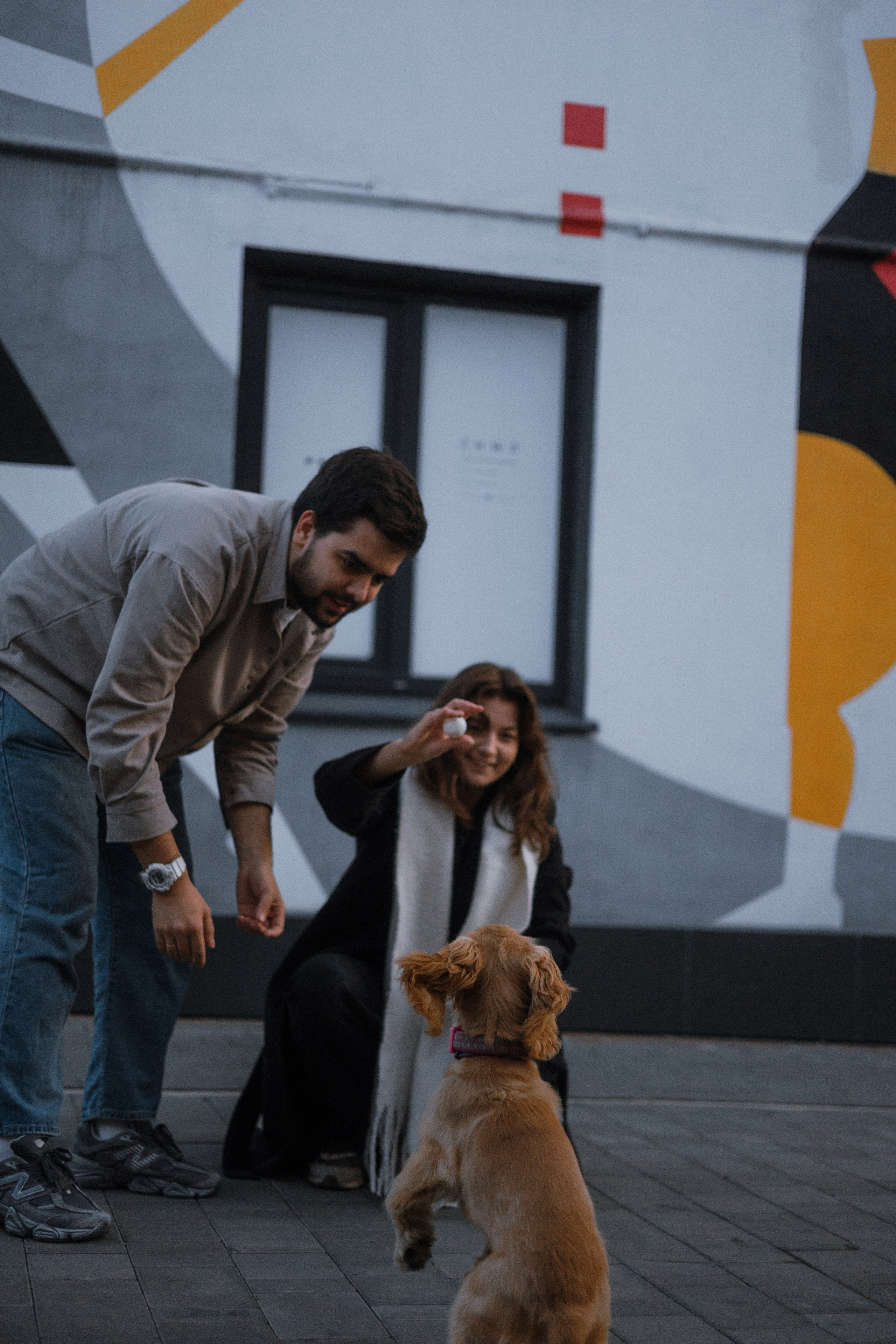 Аня, Андрей и Юта. Фотограф-анималист Богданова Полина