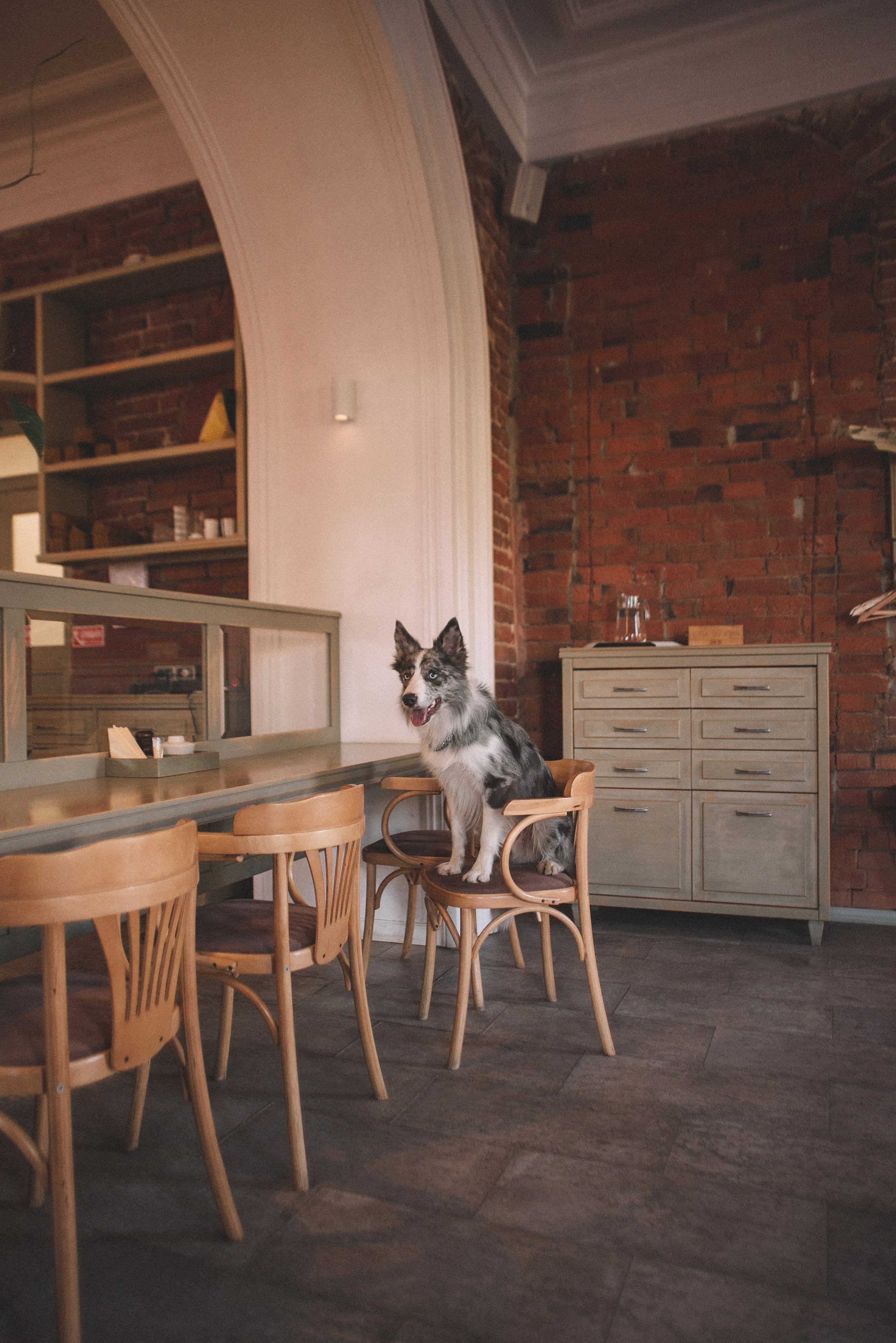 Диана и Робин. Фотограф-анималист Богданова Полина