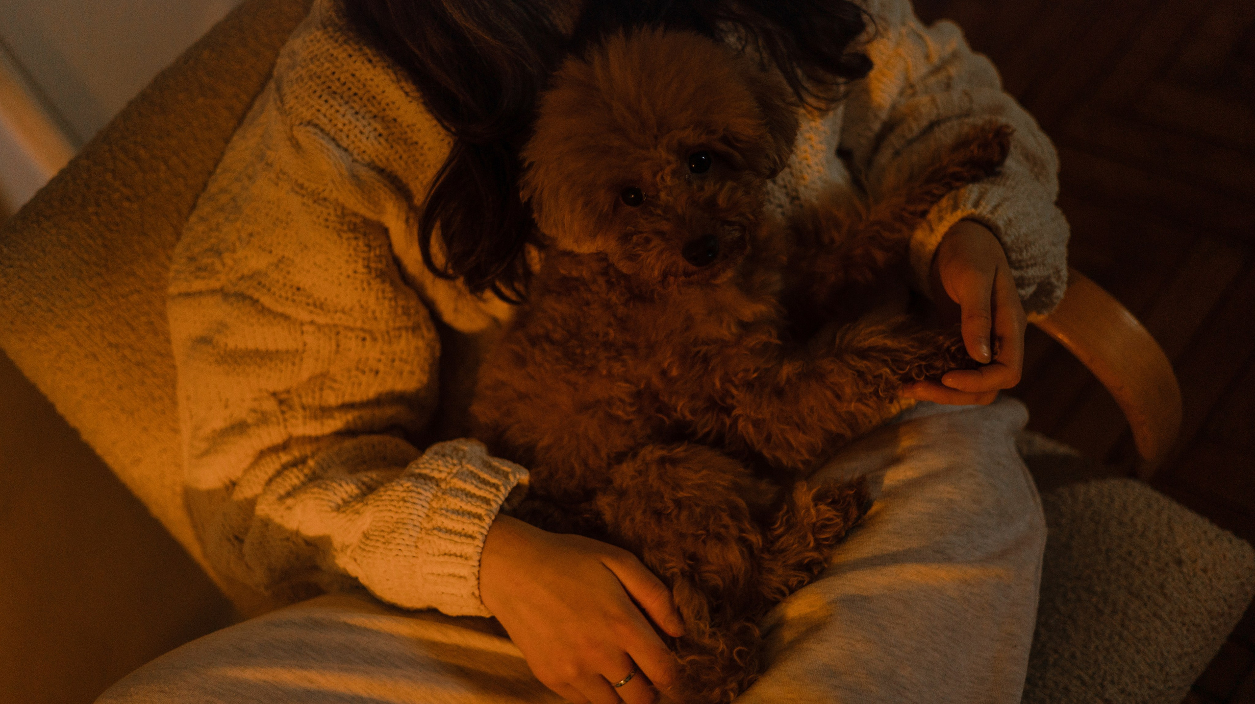 Маша, Одди и Нэвил. Фотограф-анималист Богданова Полина