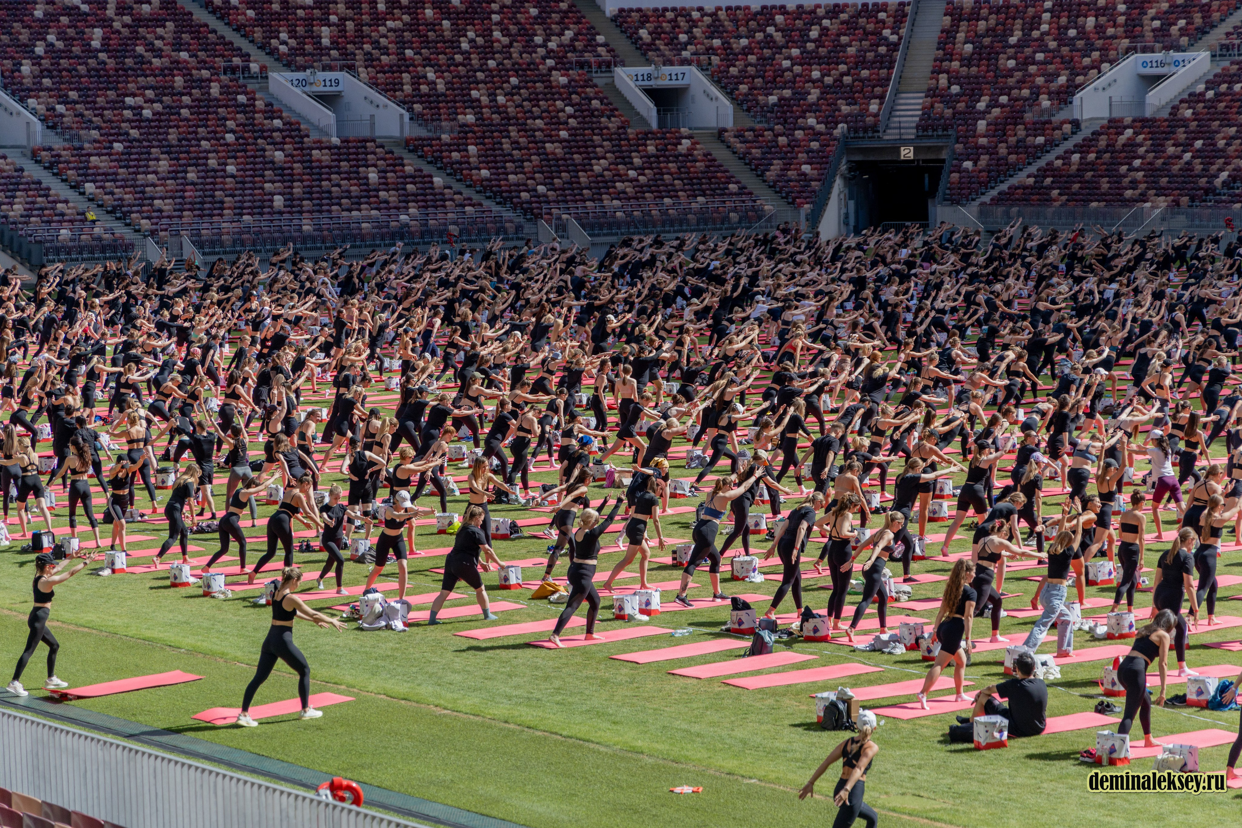 День Московского спорта в Лужниках 2024. Репортажный, семейный и студийный фотограф в Москве Демин Алексей