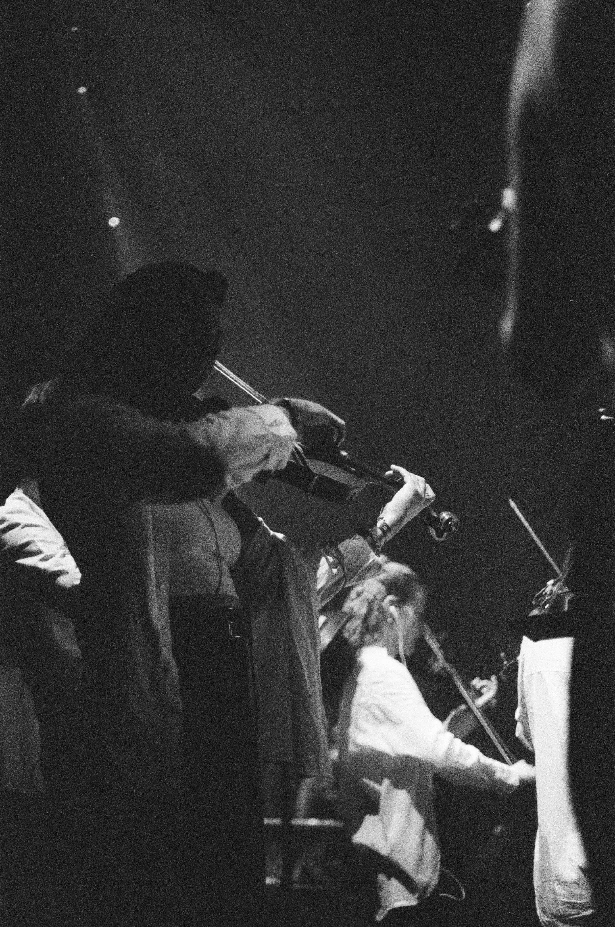 Orchestra. Фотограф Диана Иремадзе