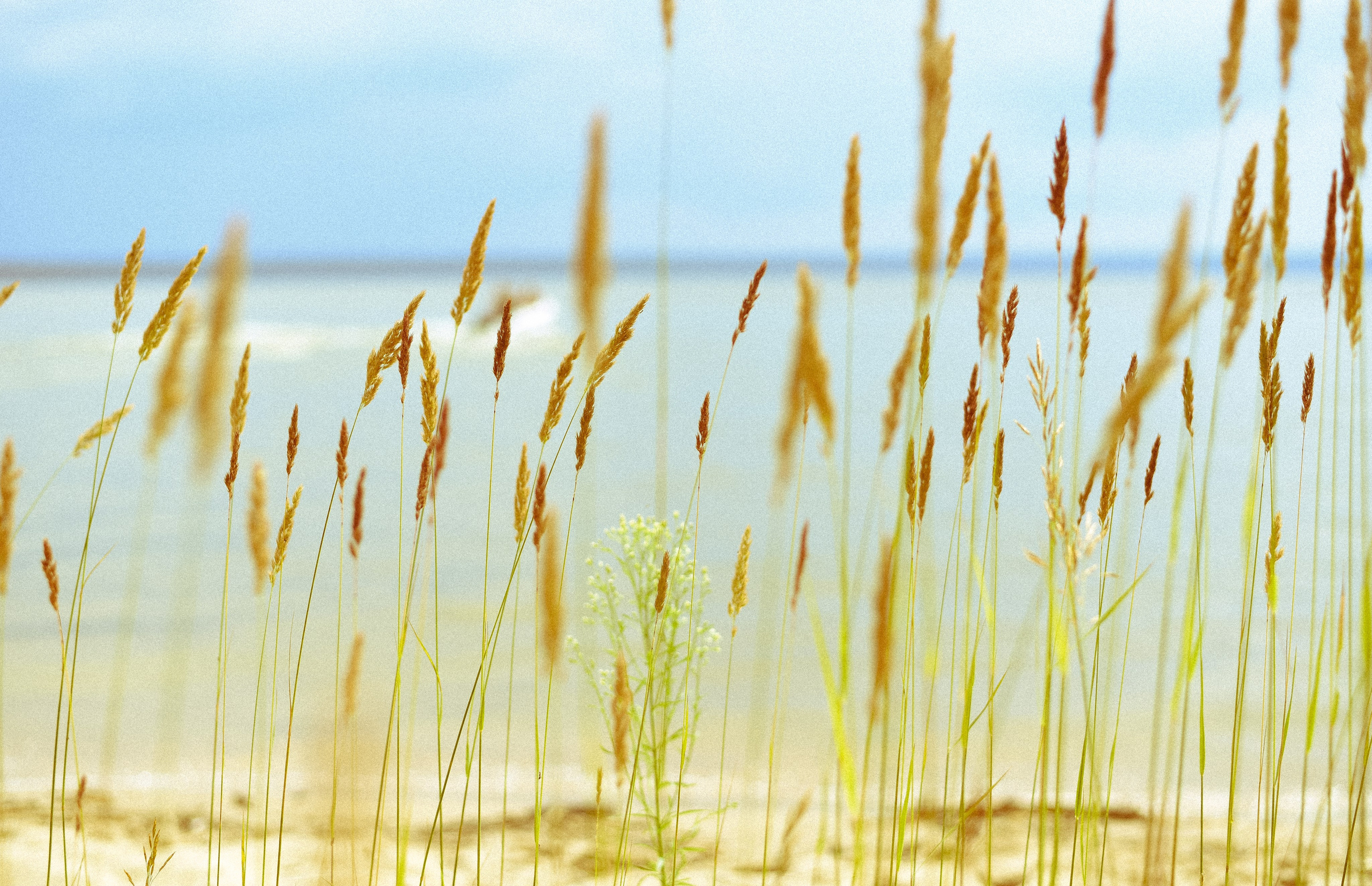 Маленькая хозяйка большого Мира. Детский и семейный фотограф в Новосибирске Саша Дорошенко