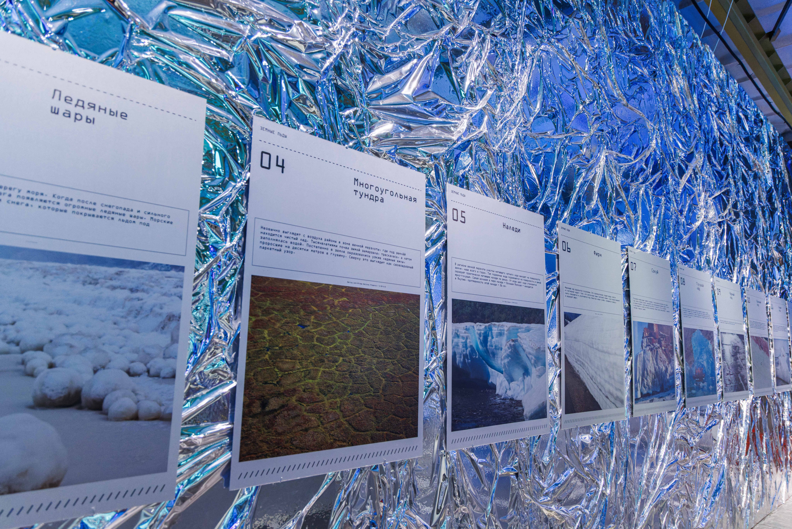 Лед. Жизнь — познавательно-развлекательная выставка. Фотограф Балаев Михаил