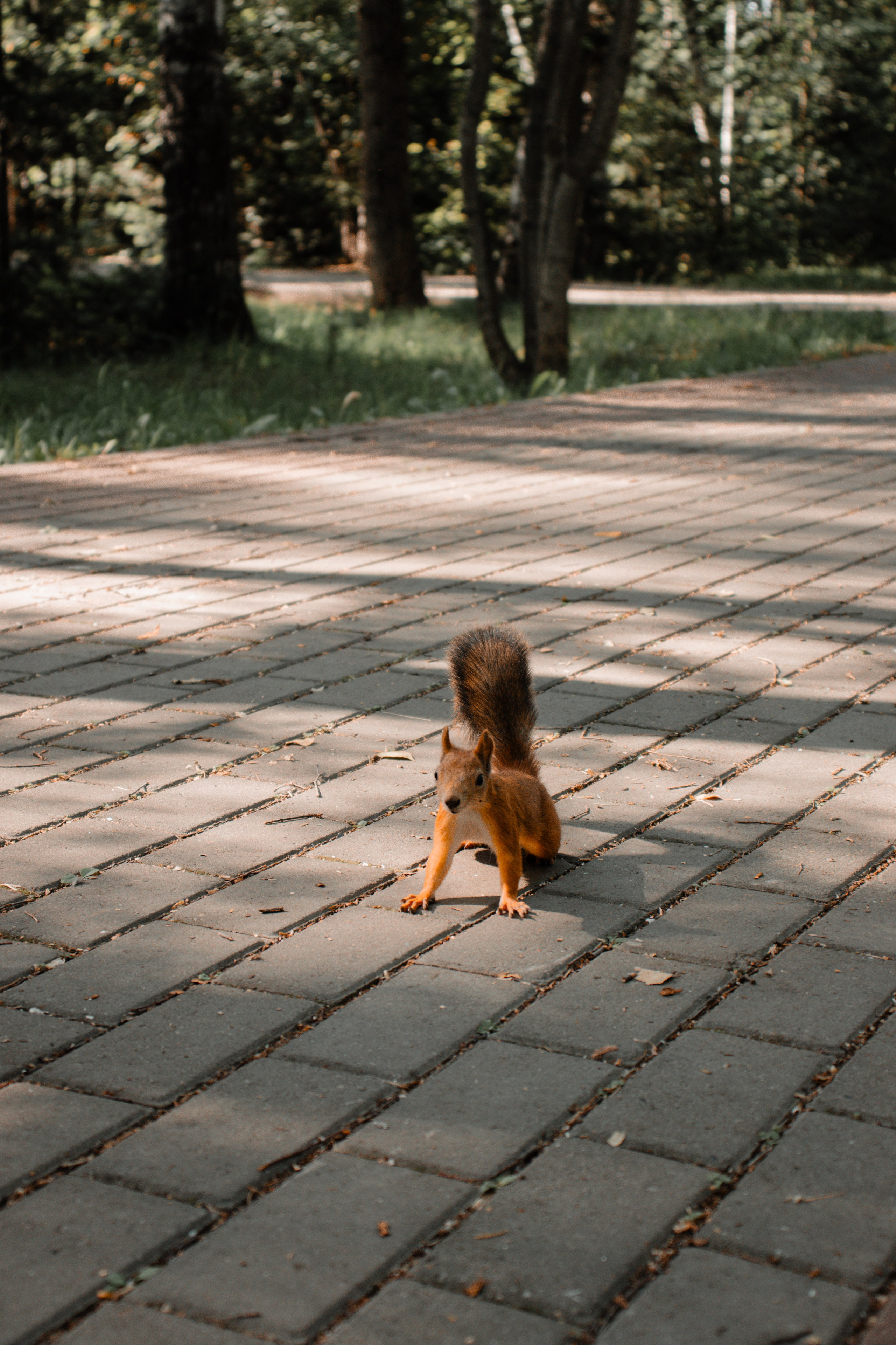 Съёмка беременной Томск. Фотосессия для беременных Томск. Фотограф в Томске Дарья Пучкина