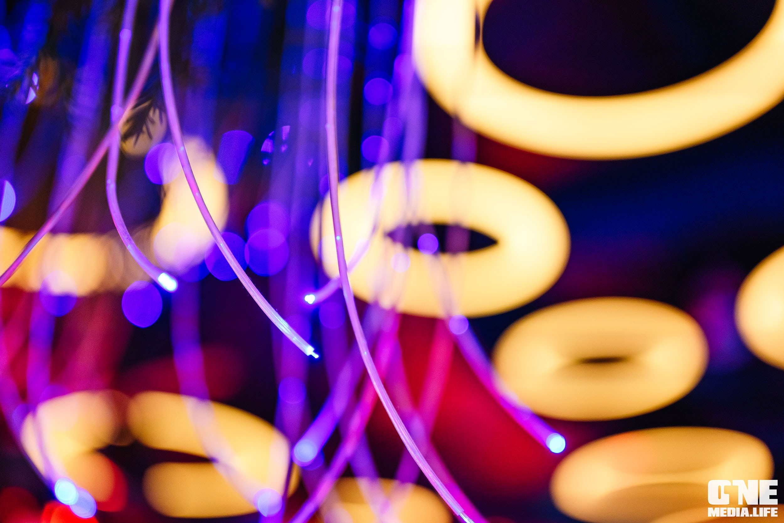 Фоторепортаж из ресторана Океан. One Media Life: фоторепортажи, фотоотчеты с мероприятий и заведений