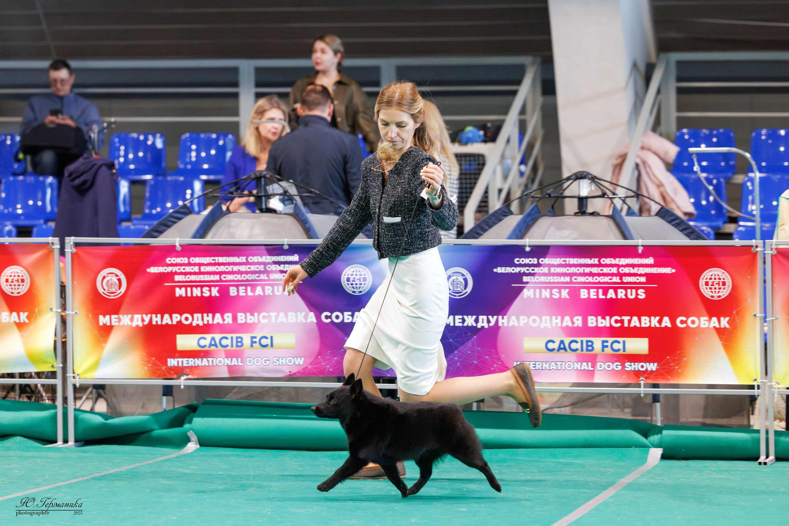 Минск 31.05-1.06.2025. Фотограф-анималист Юлия Германика