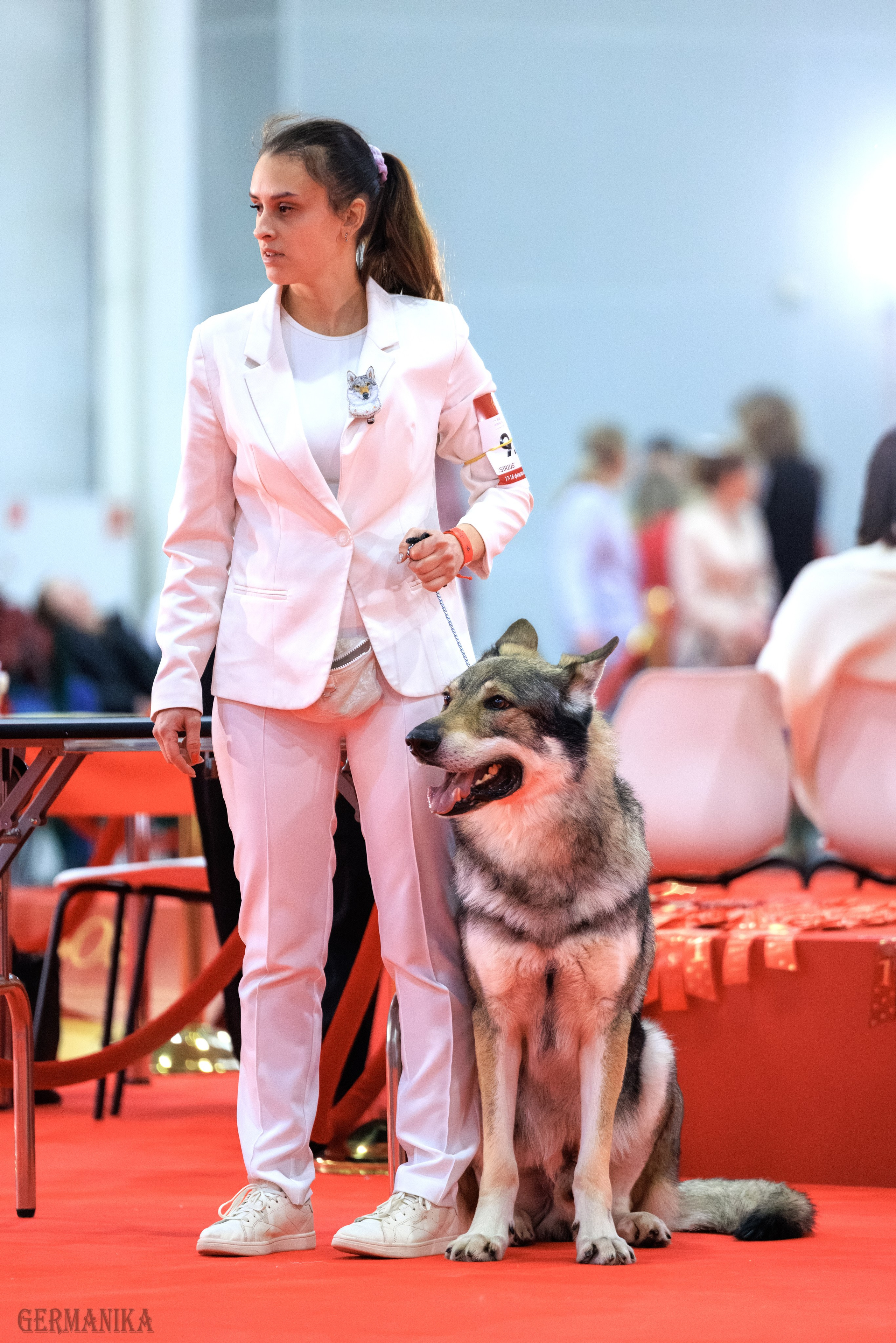 Лучшие Собаки России 17-18.02.2024. Фотограф-анималист Юлия Германика