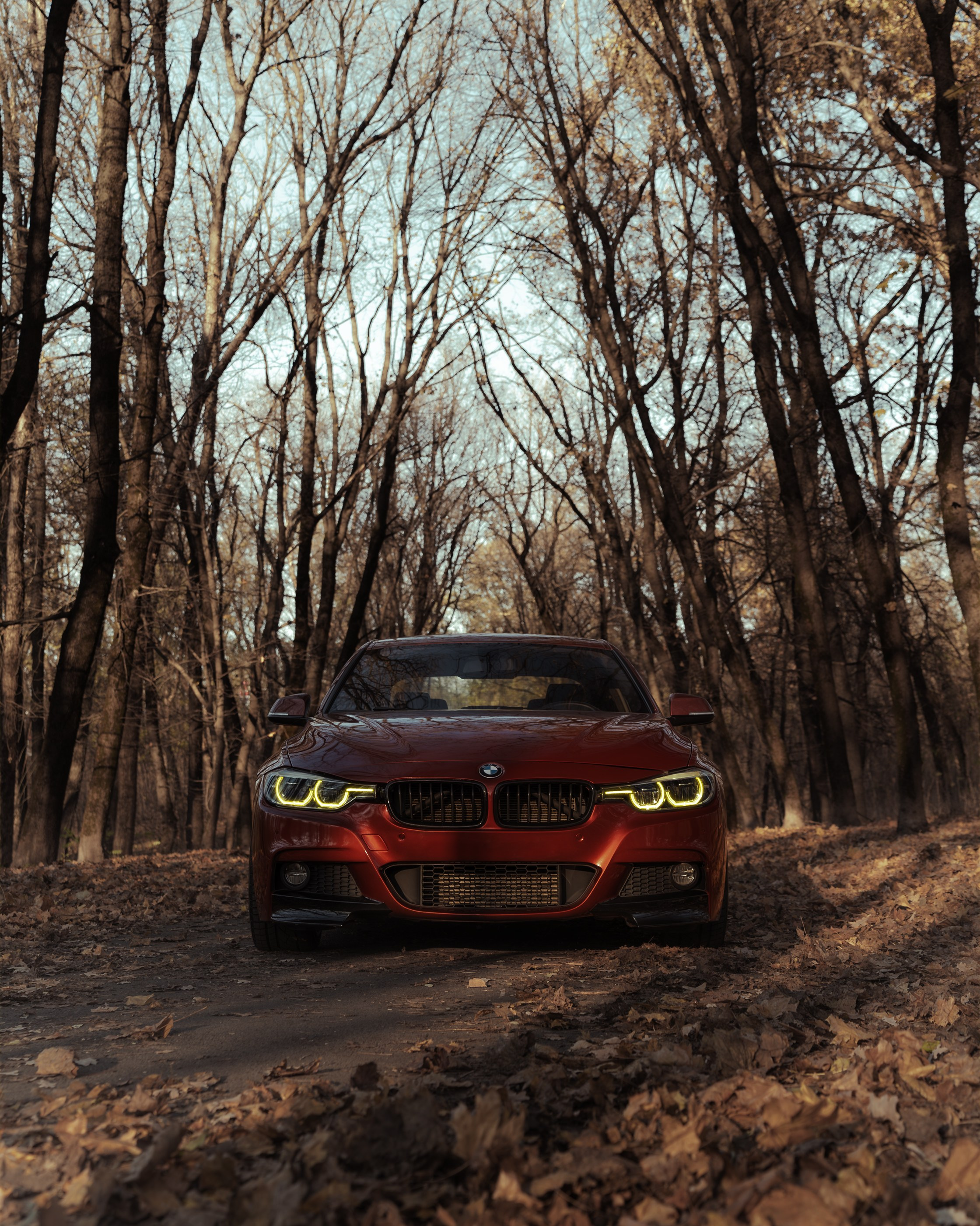 //4Series / MaxBotov. Автомобильный фотограф