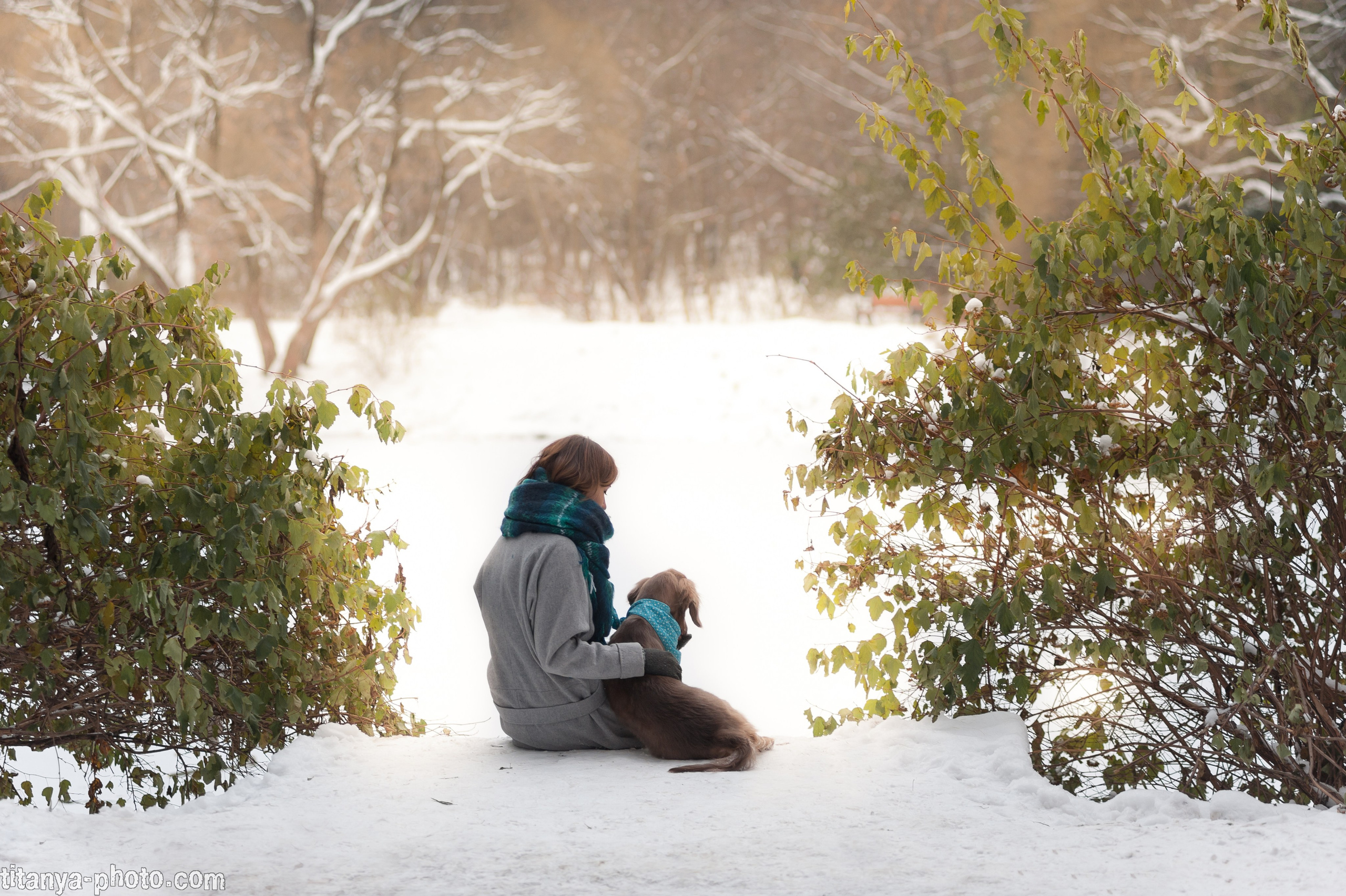 Фотосессии для Вас и Ваших четвероногих любимцев. Фотограф собак, фотограф-анималист Аня Титова (Titanya). Москва