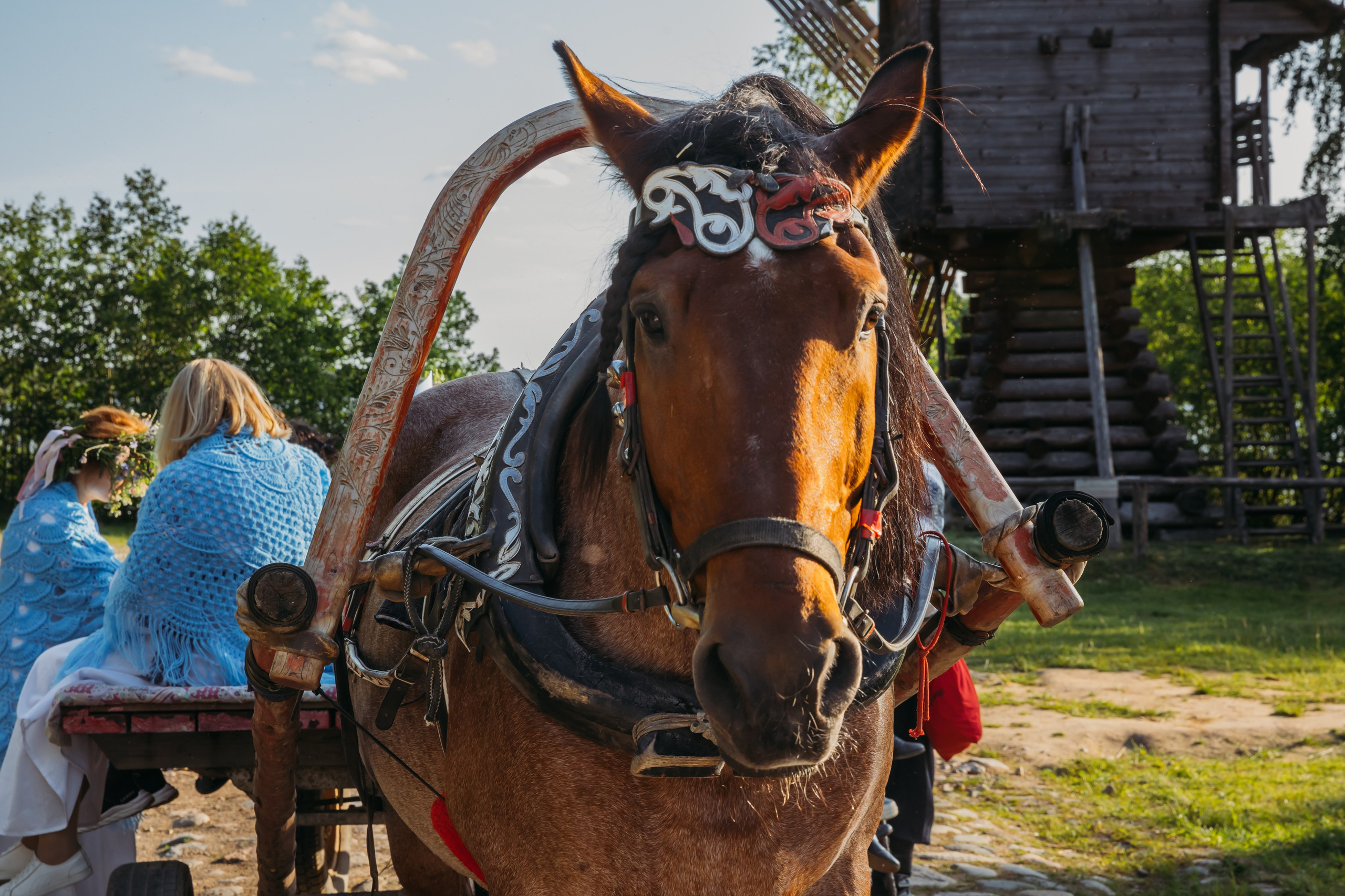 Родные люди «Мандроги». Леся Гаранина. Семейный фотограф/видеограф Москва и область