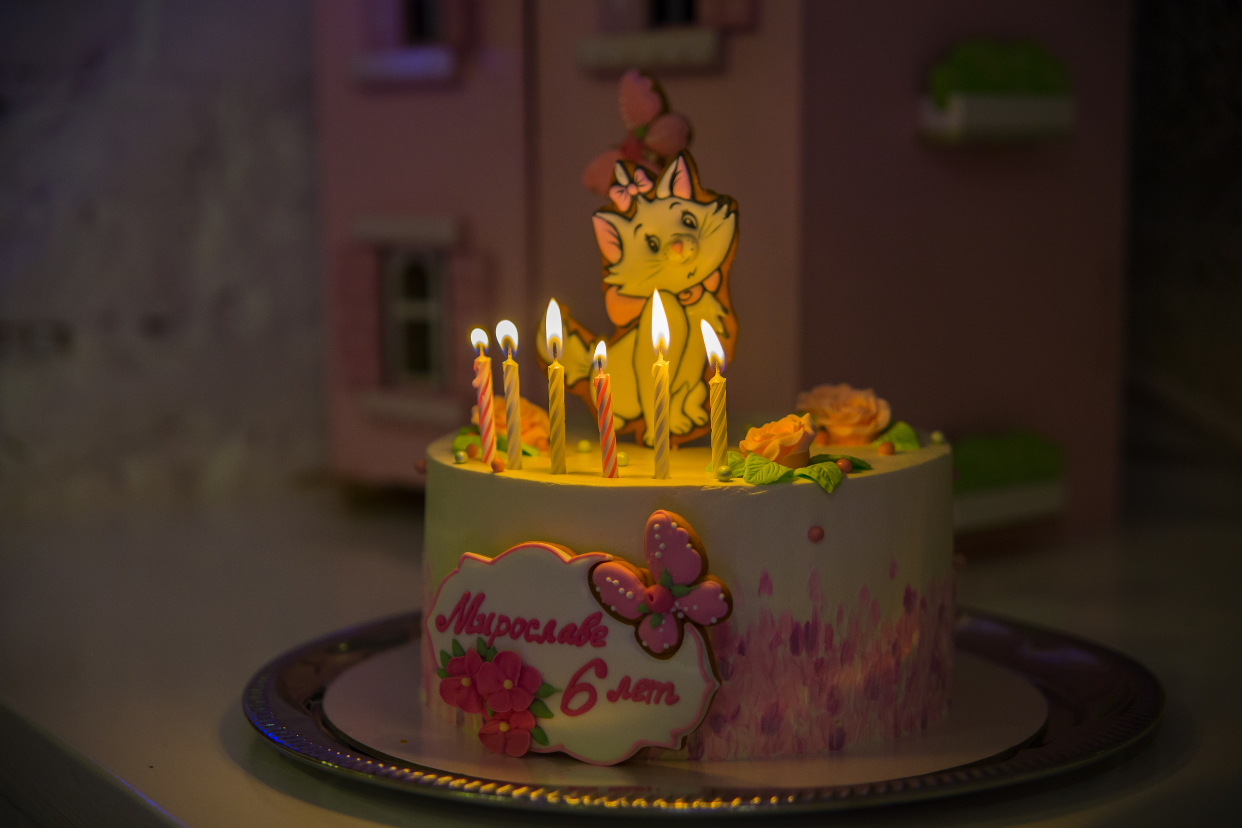 В домике Алисы. Мире 6 лет.