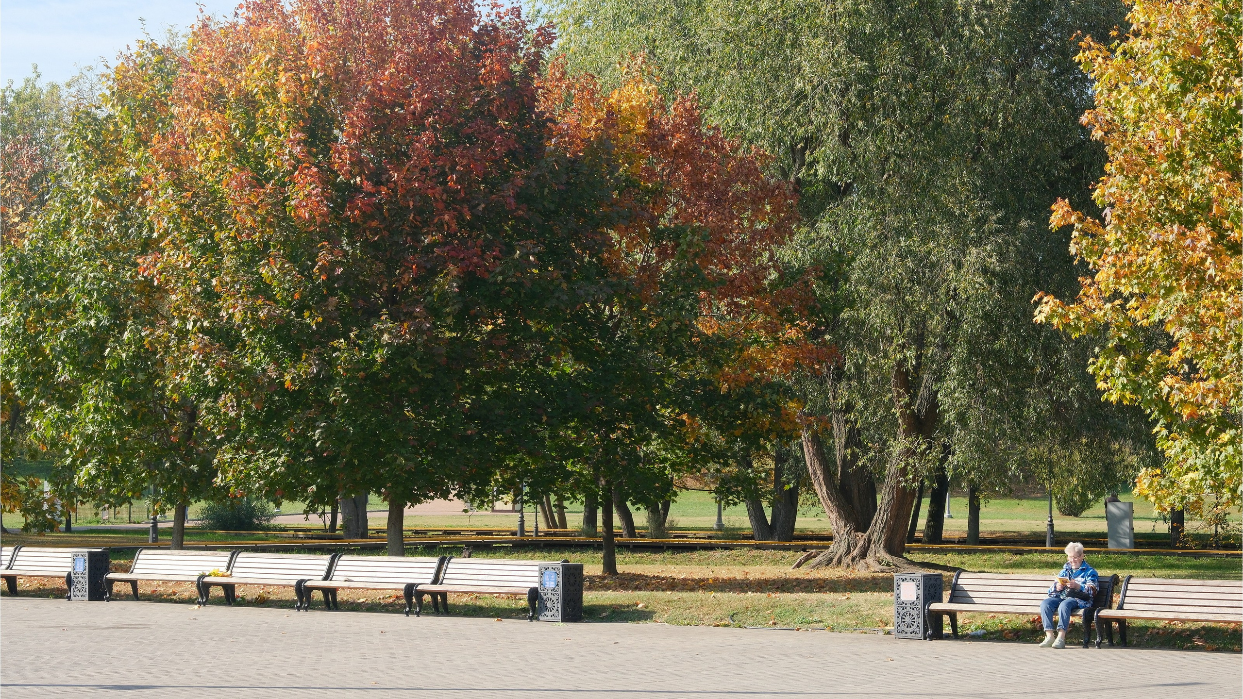 Улица, люди, жизнь…