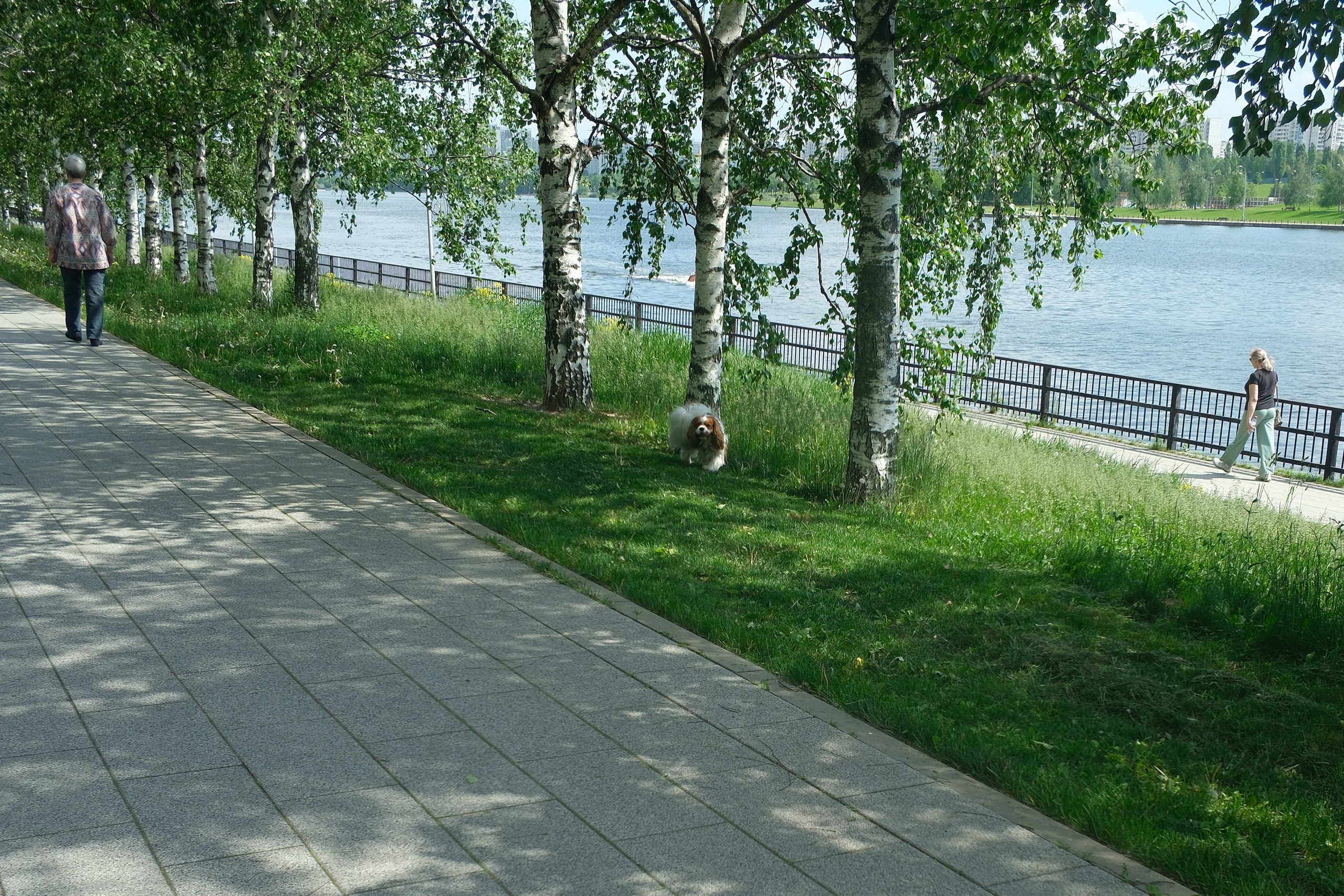 Парк 850 лет Москве. Снято на Voigtlander 18/2,8 Color-scopar. Улица, люди, жизнь…