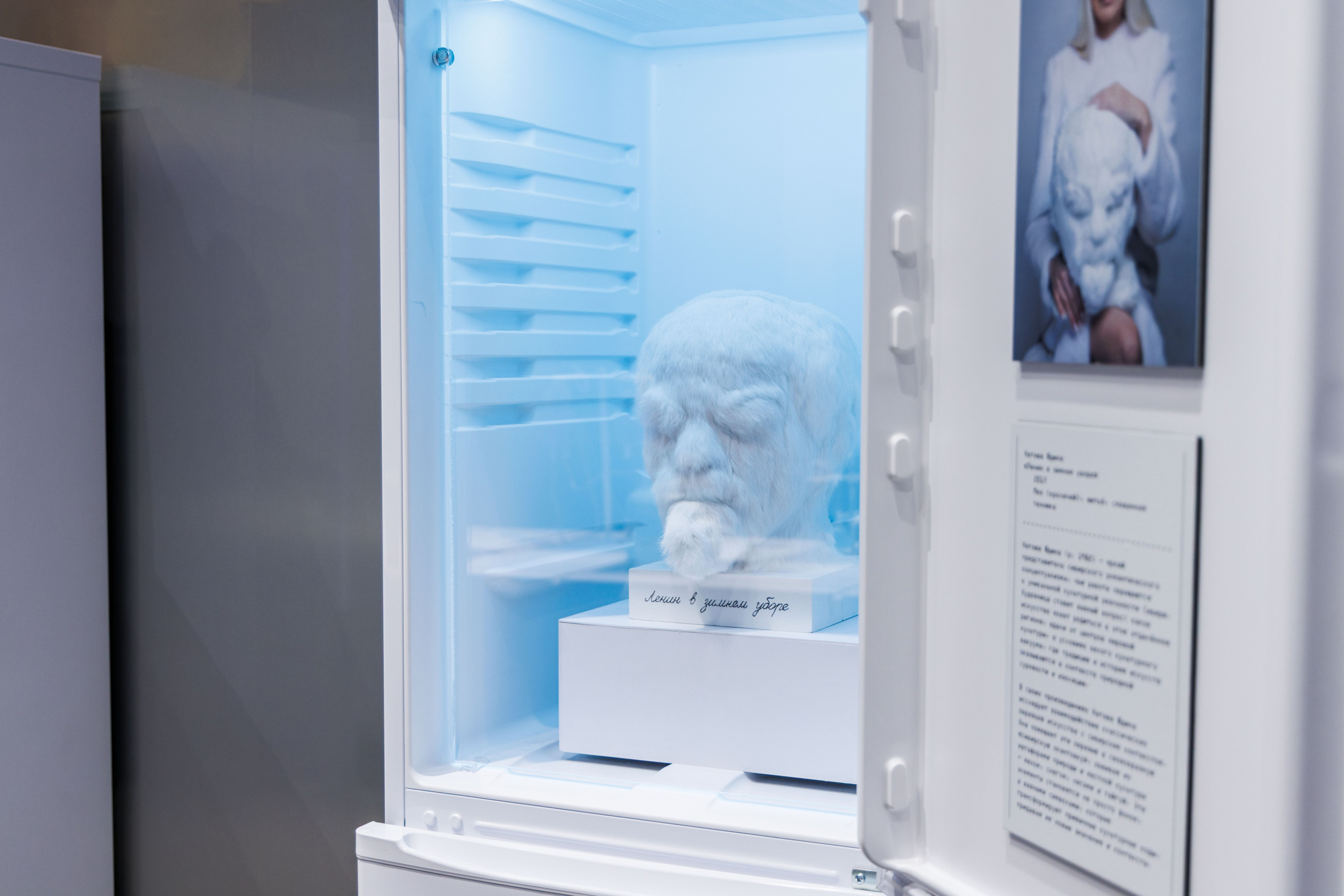 Лед. Жизнь — познавательно-развлекательная выставка. Фотограф Балаев Михаил