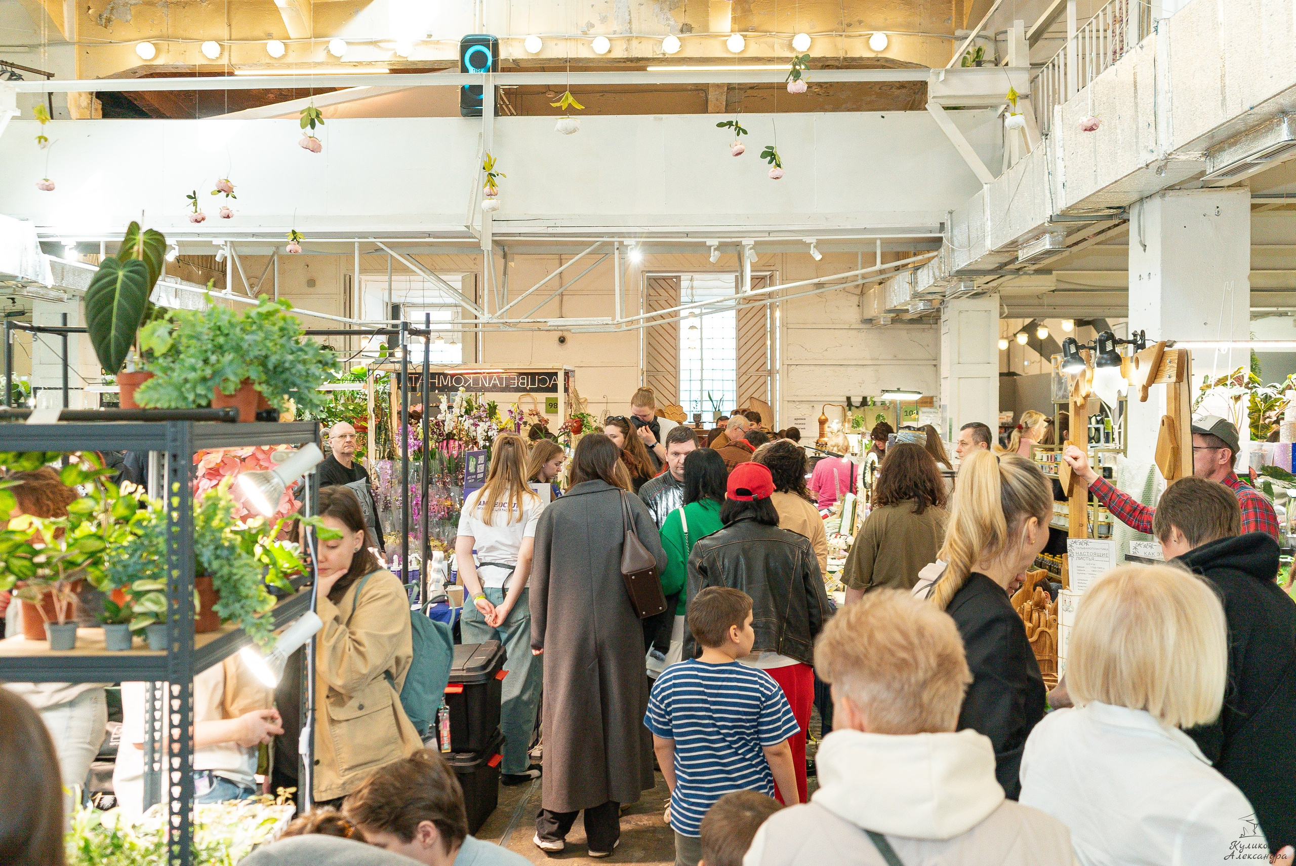 Гроубокс Артплей апрель. Александра Куликова фотограф, Москва
