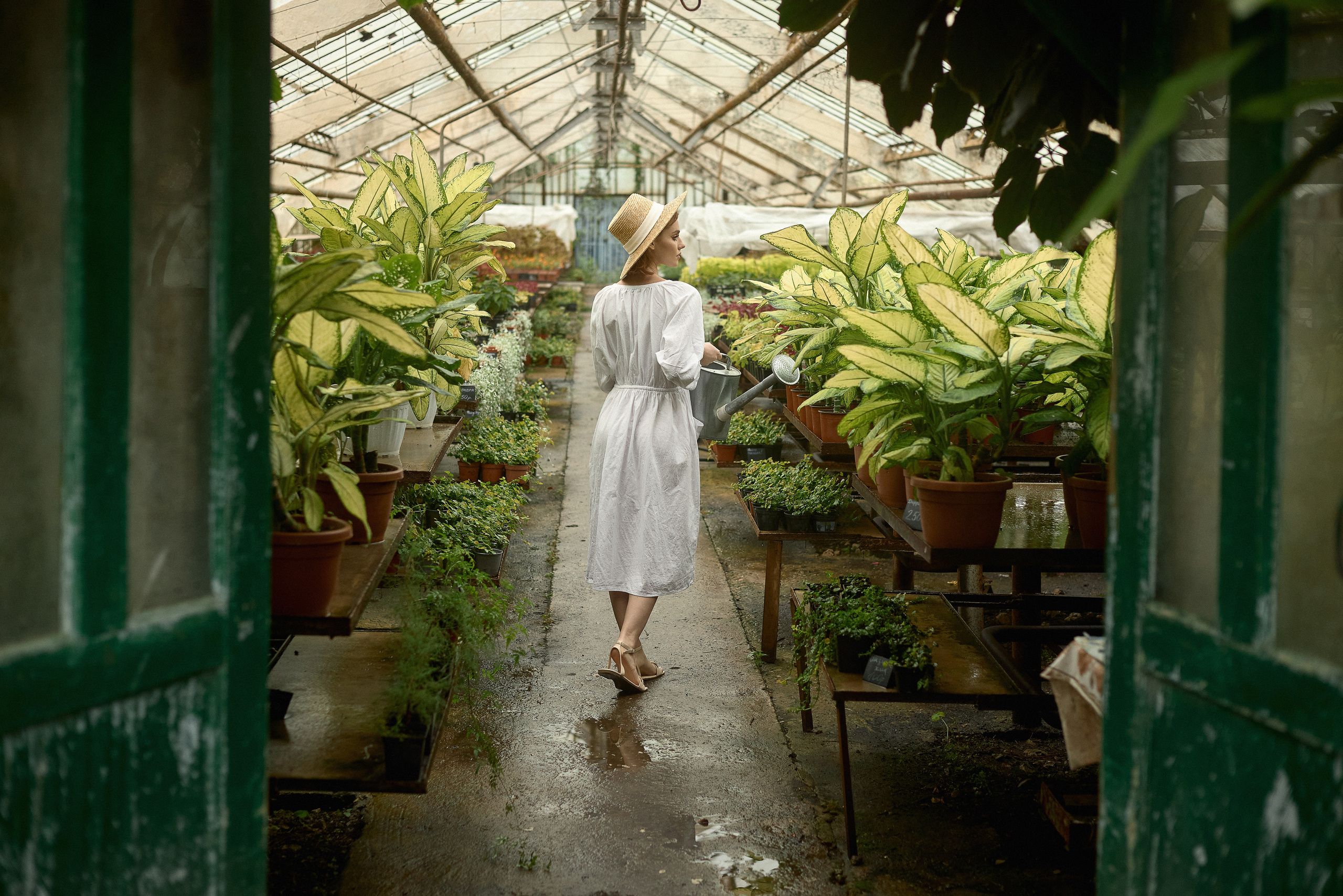 Оранжерея. Фотограф в Сочи Ксения Карякина