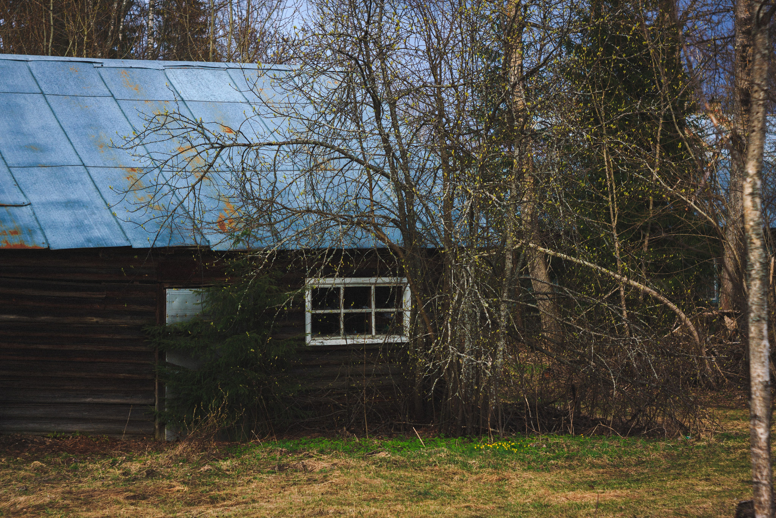 Деревня. Den Mirov — Photographer, Musician