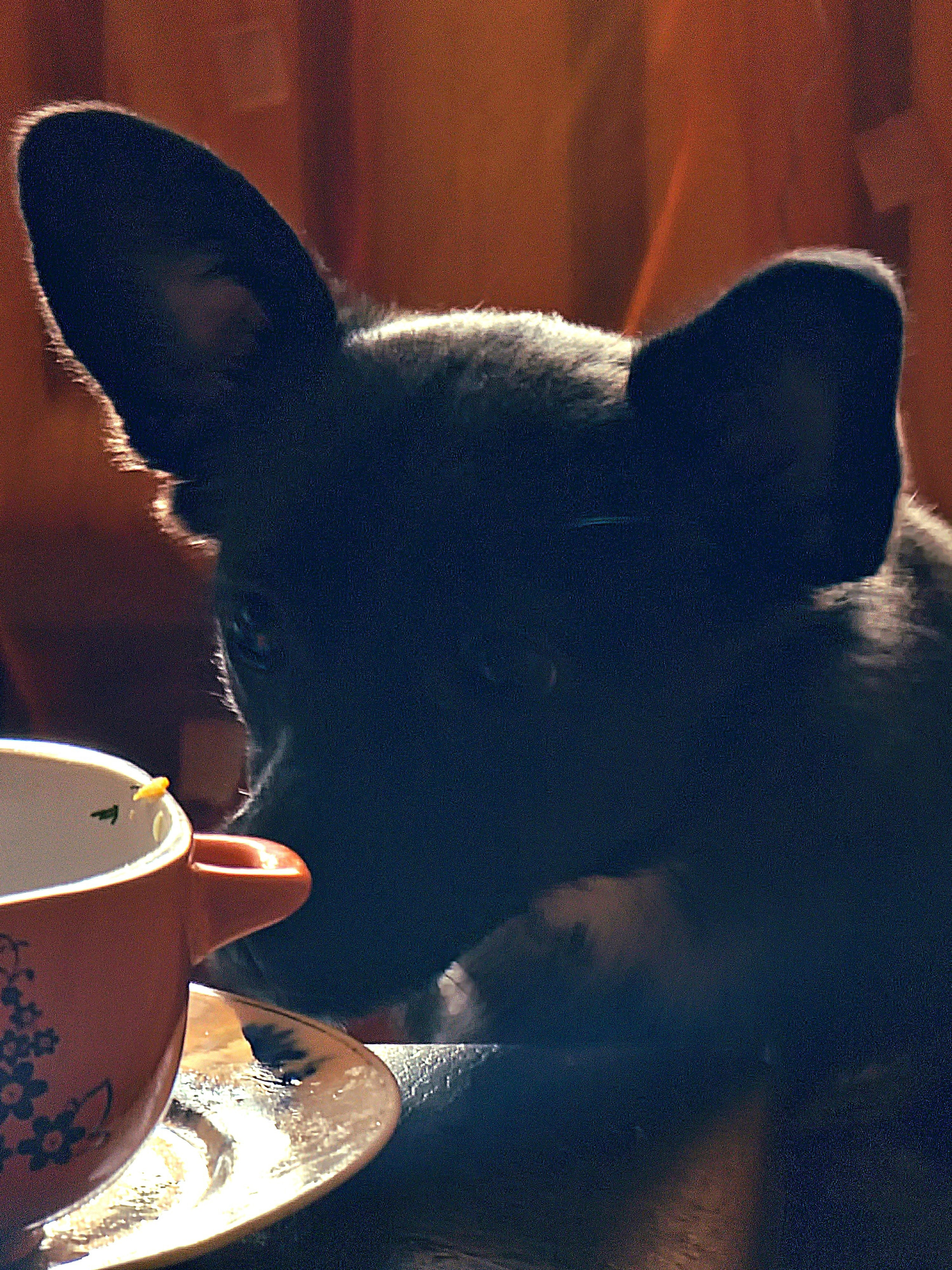 Июль 2025. Den Mirov — Фотограф, Музыкант