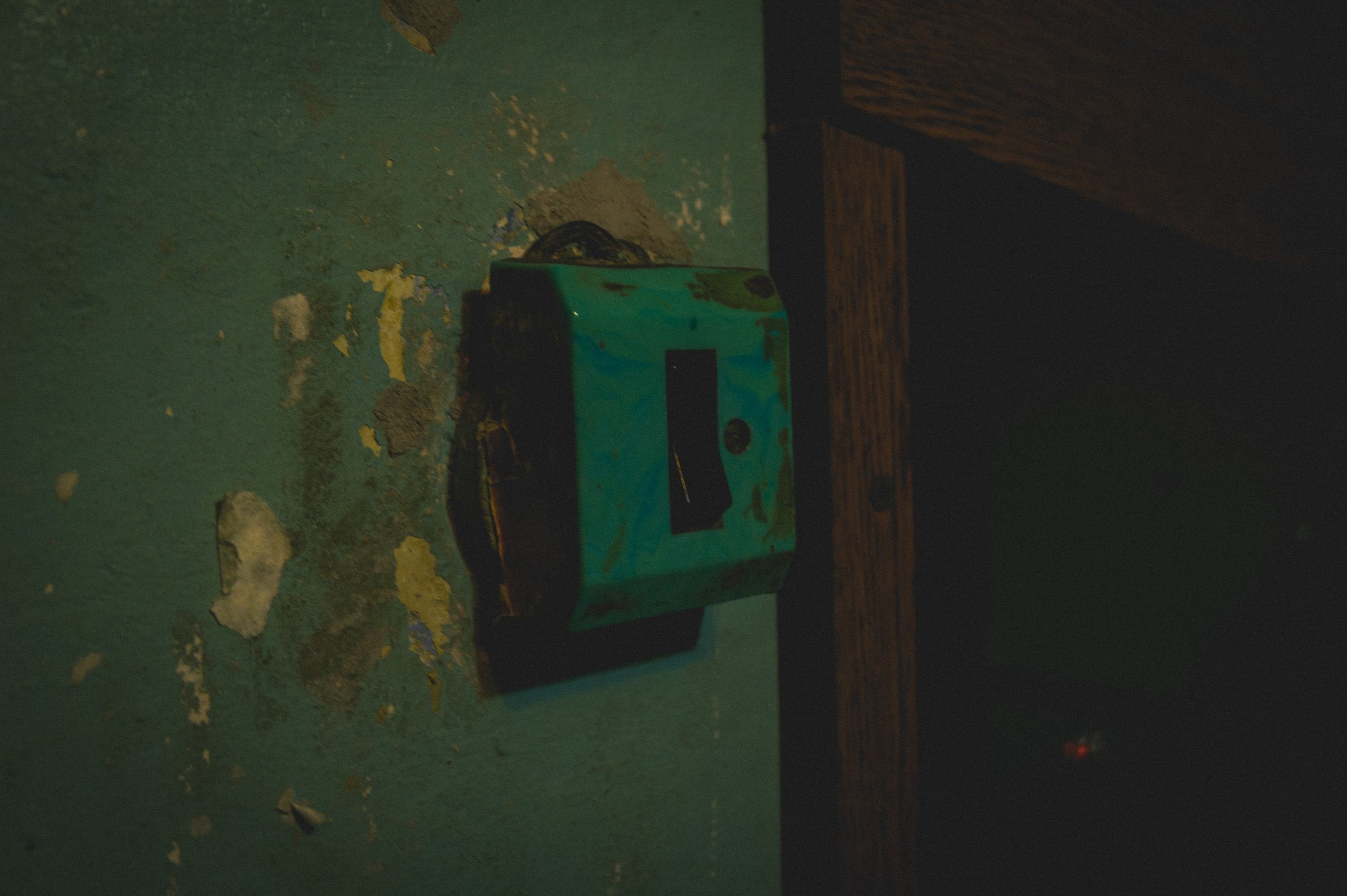 Pauline. Den Mirov — Фотограф, Музыкант