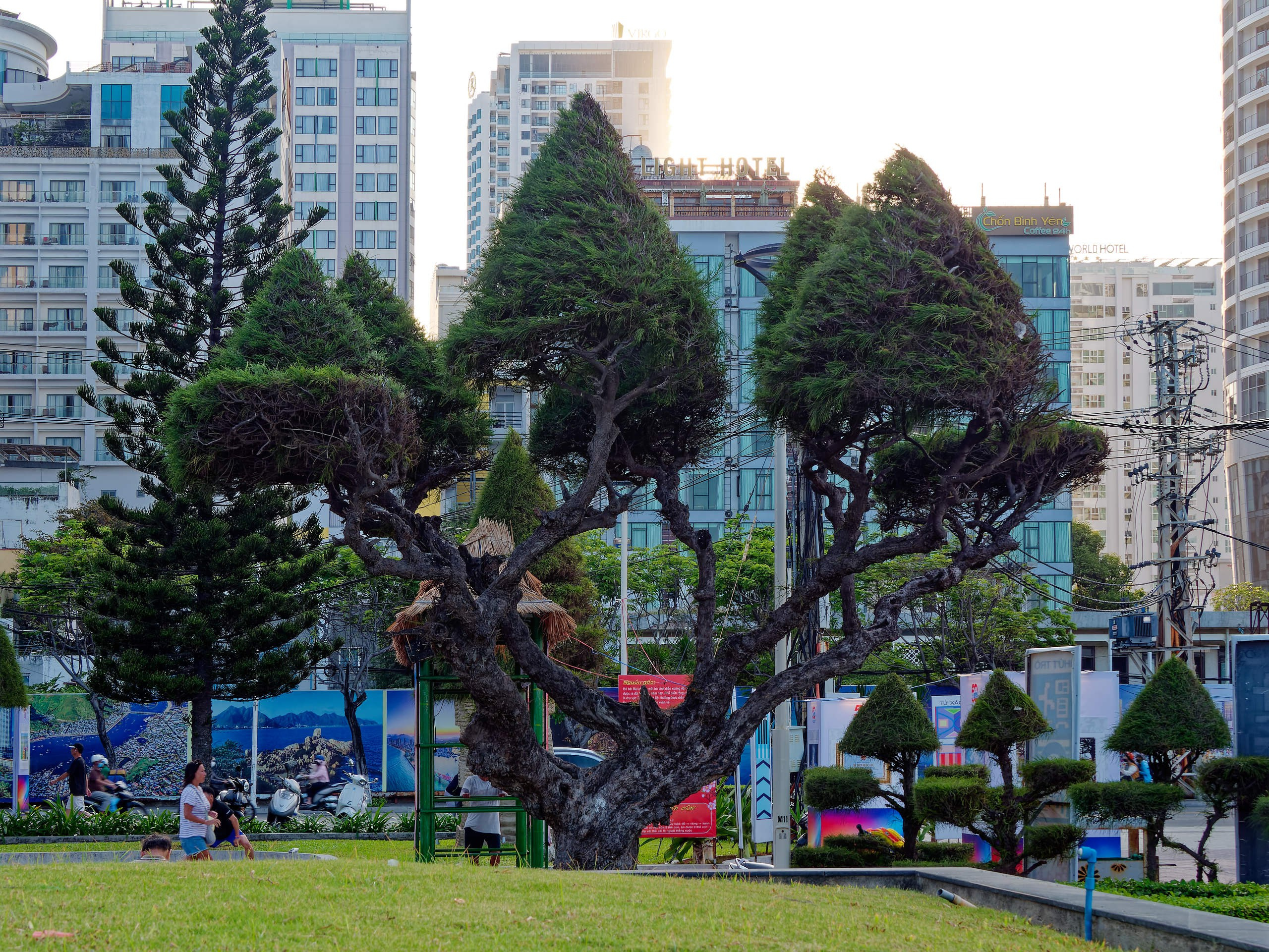 Нячанг 2025 (1). Избранные фотографии