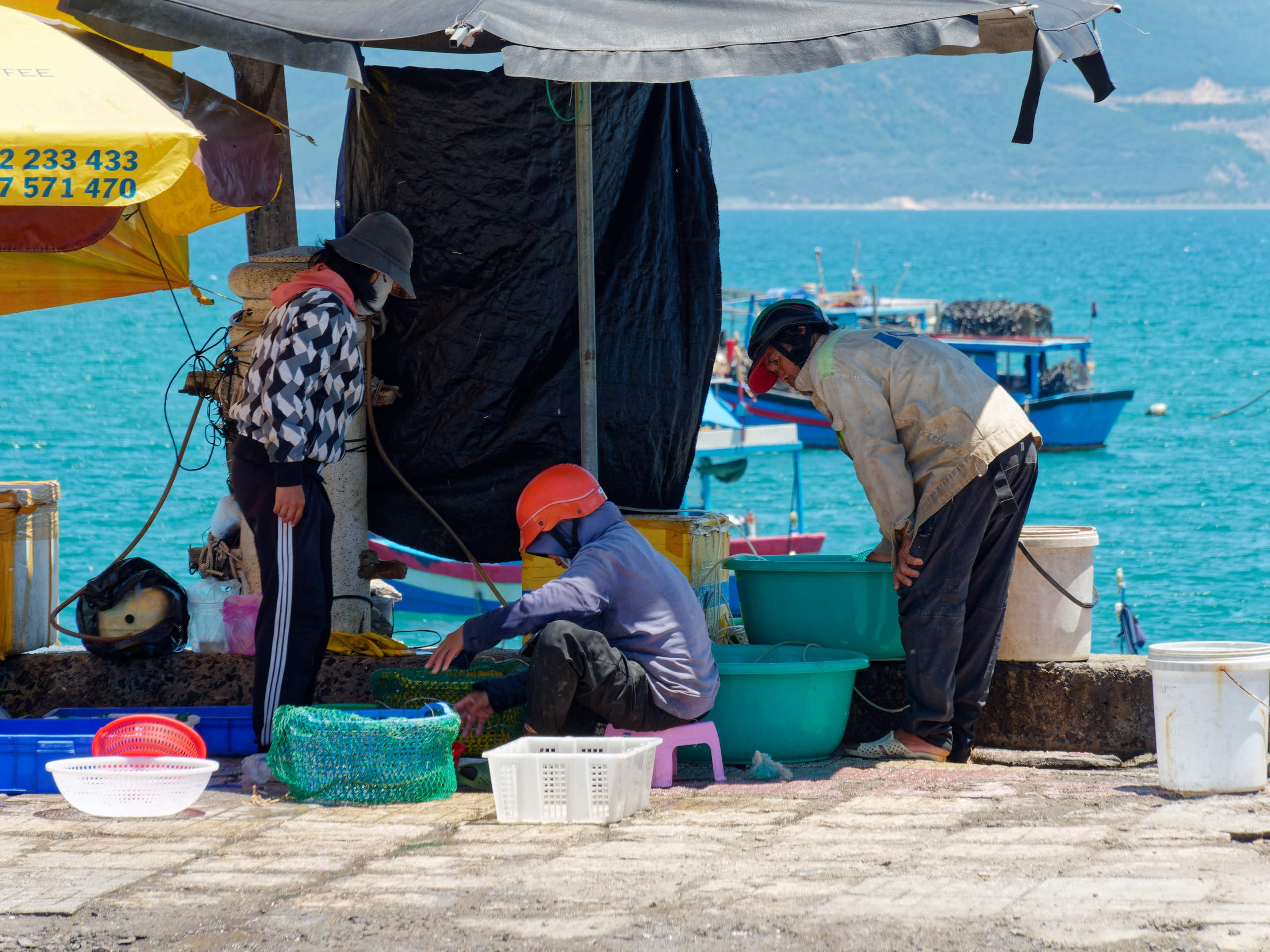 Нячанг 2025 (3). Избранные фотографии