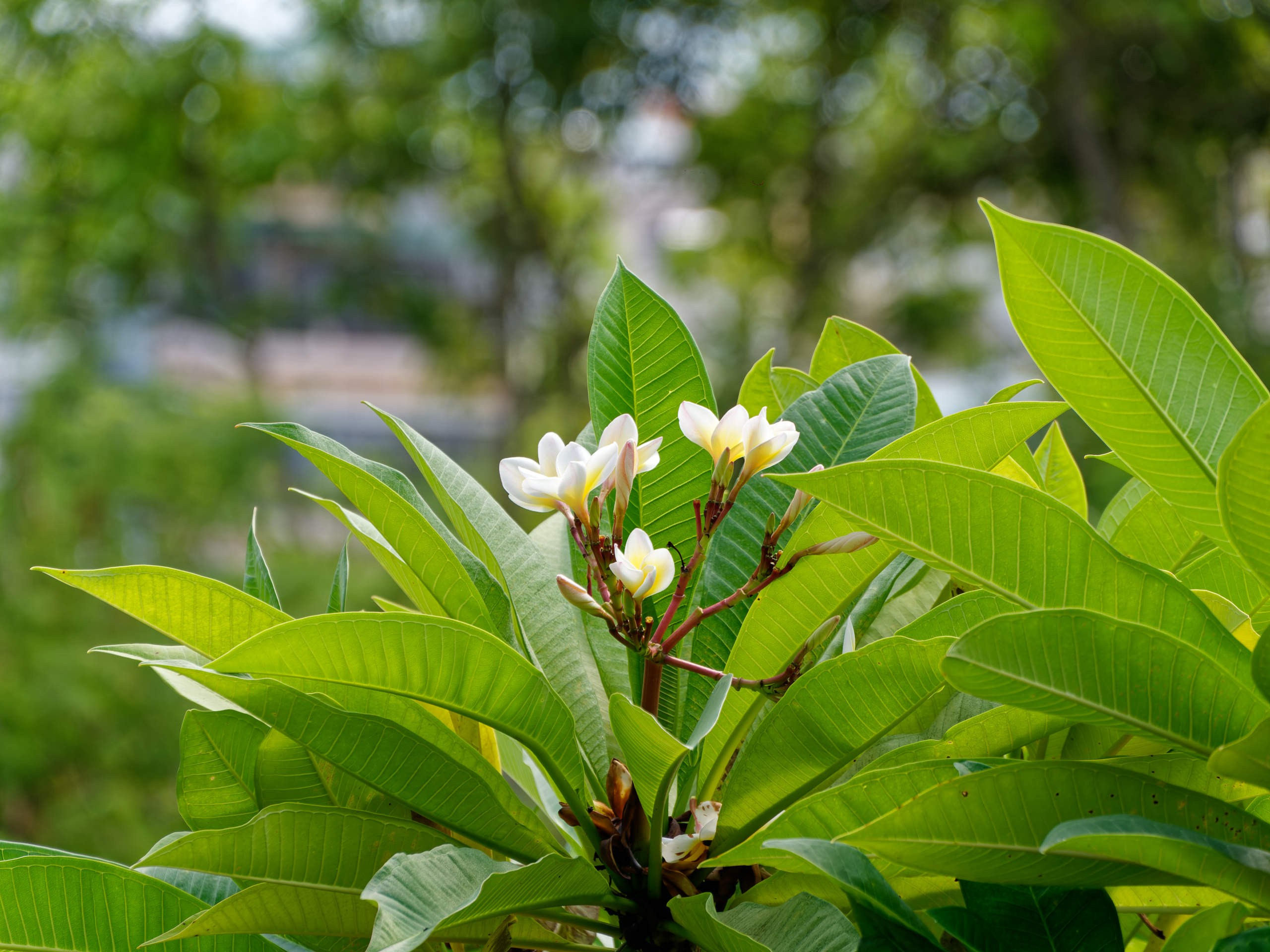 Нячанг 2023. Избранные фотографии