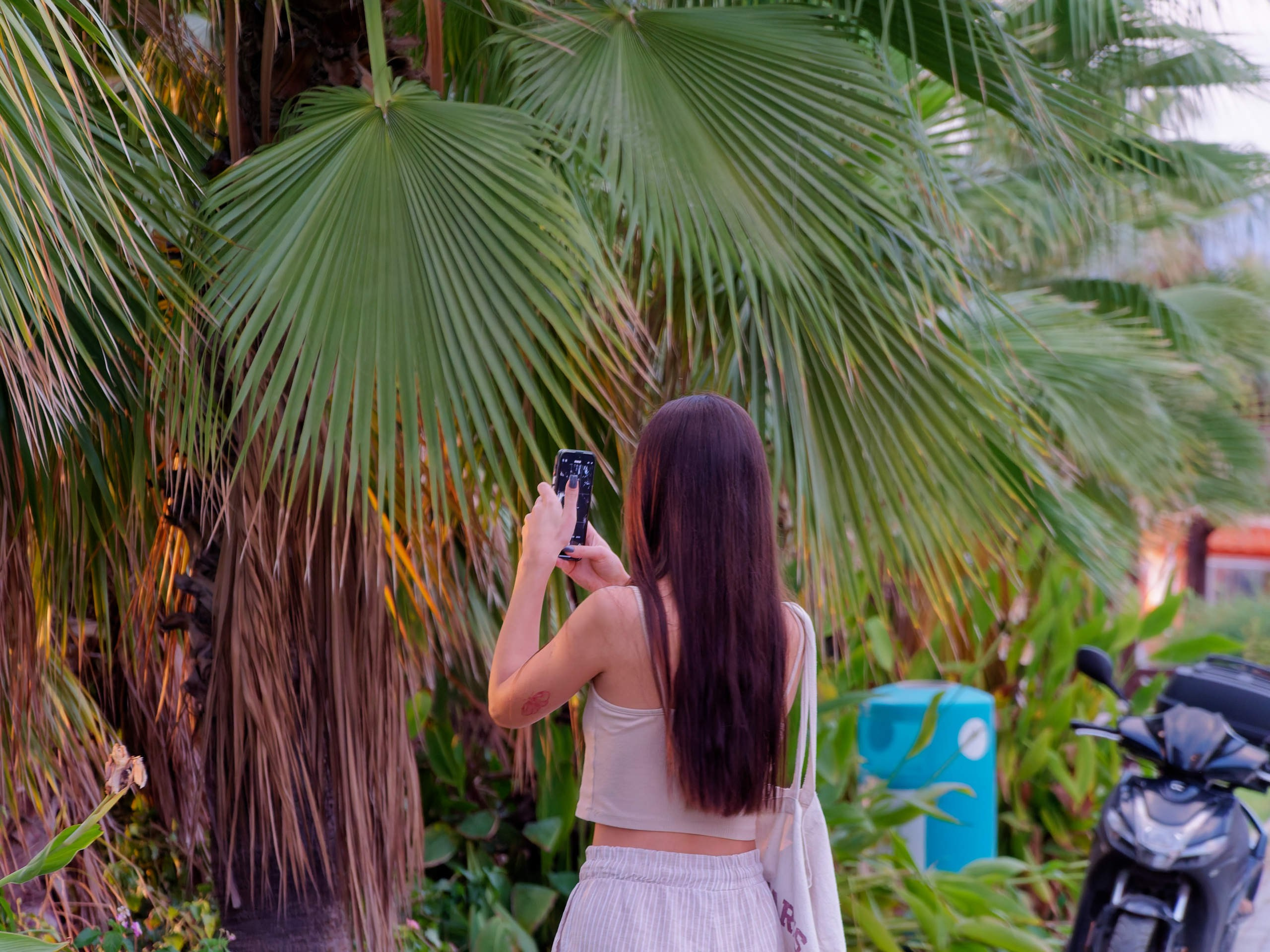 Алания 2025, город, стрит-фото. Избранные фотографии