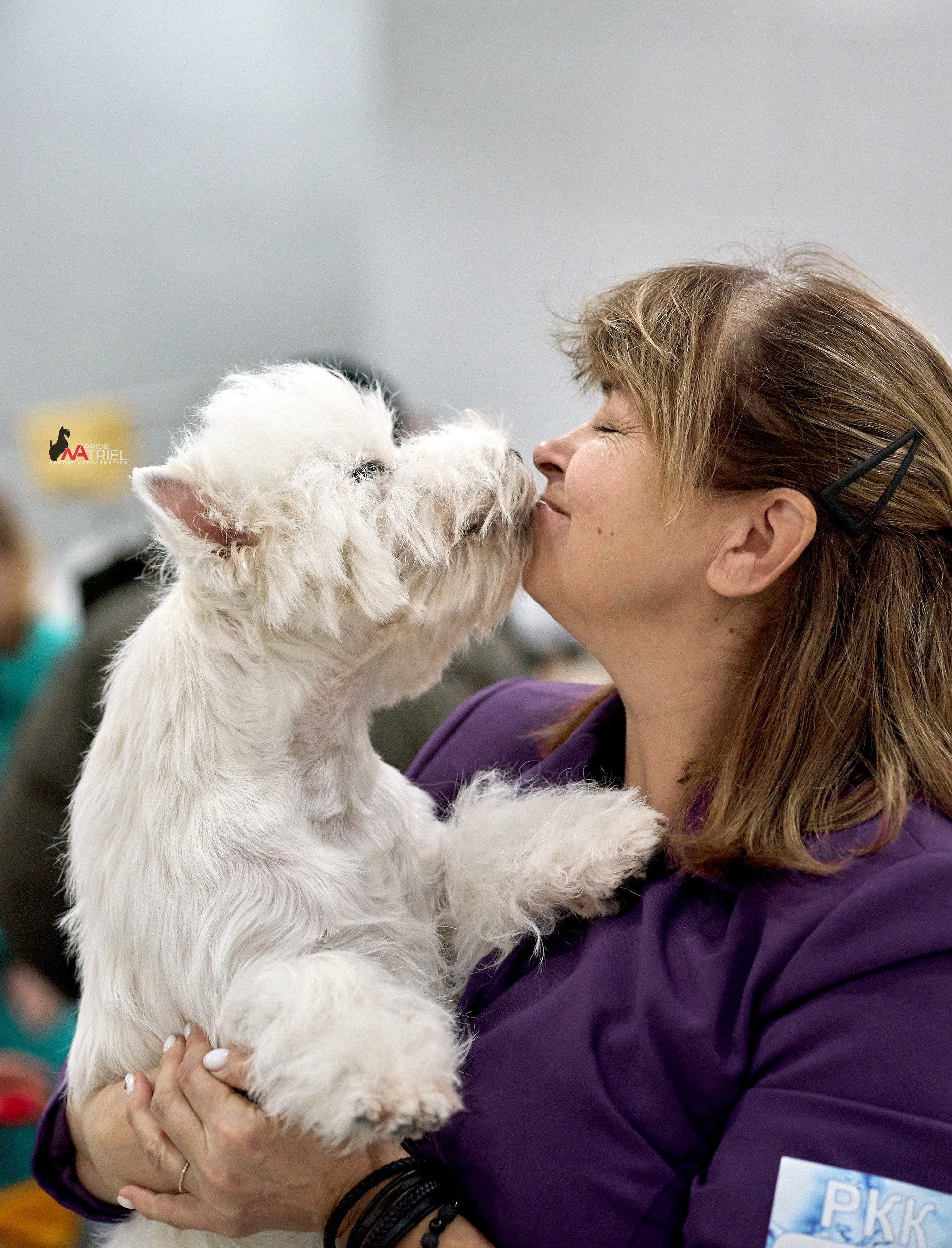 Собаки и Люди — галерея NATRIEL