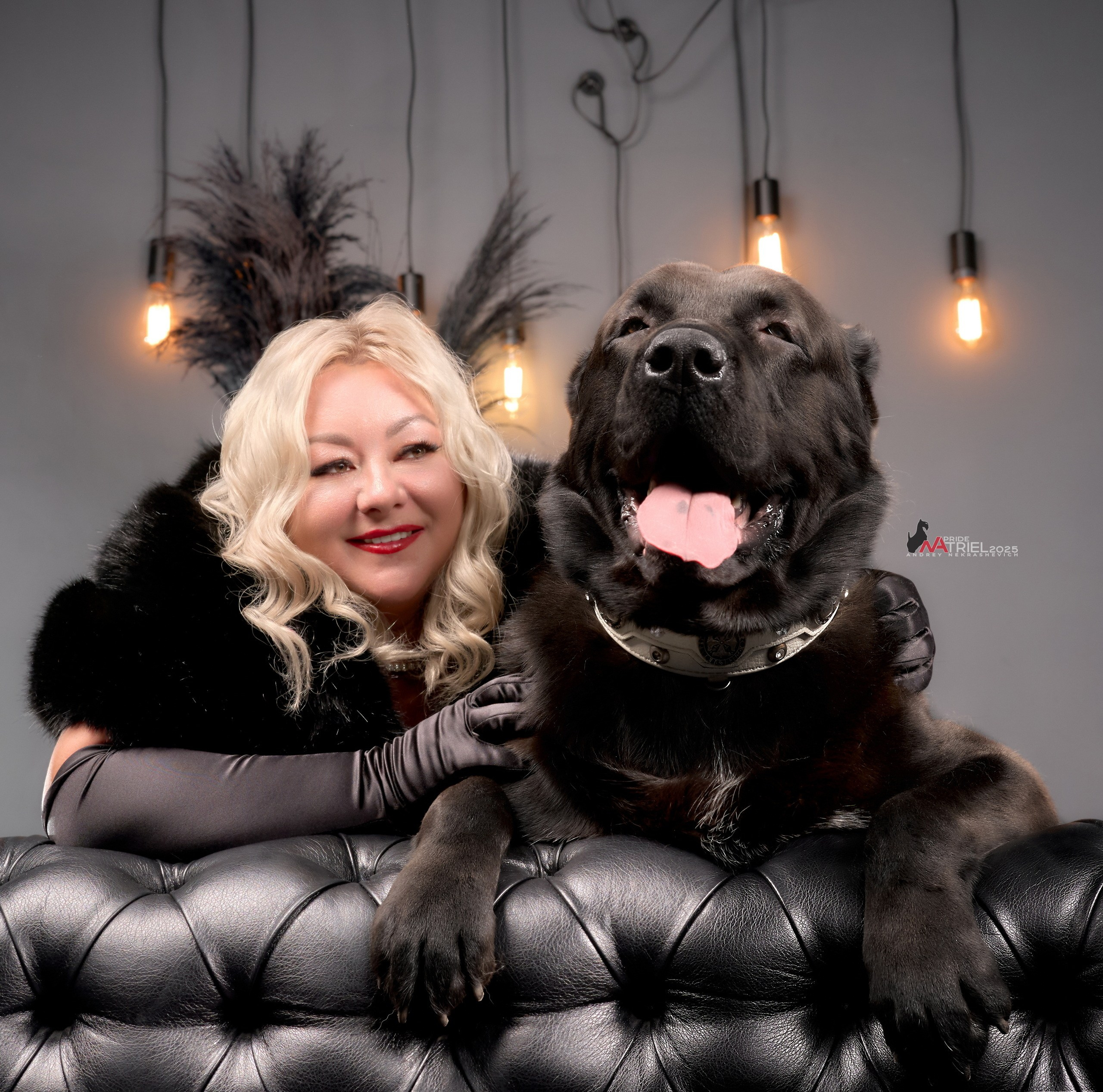 Съемка алабая в студии