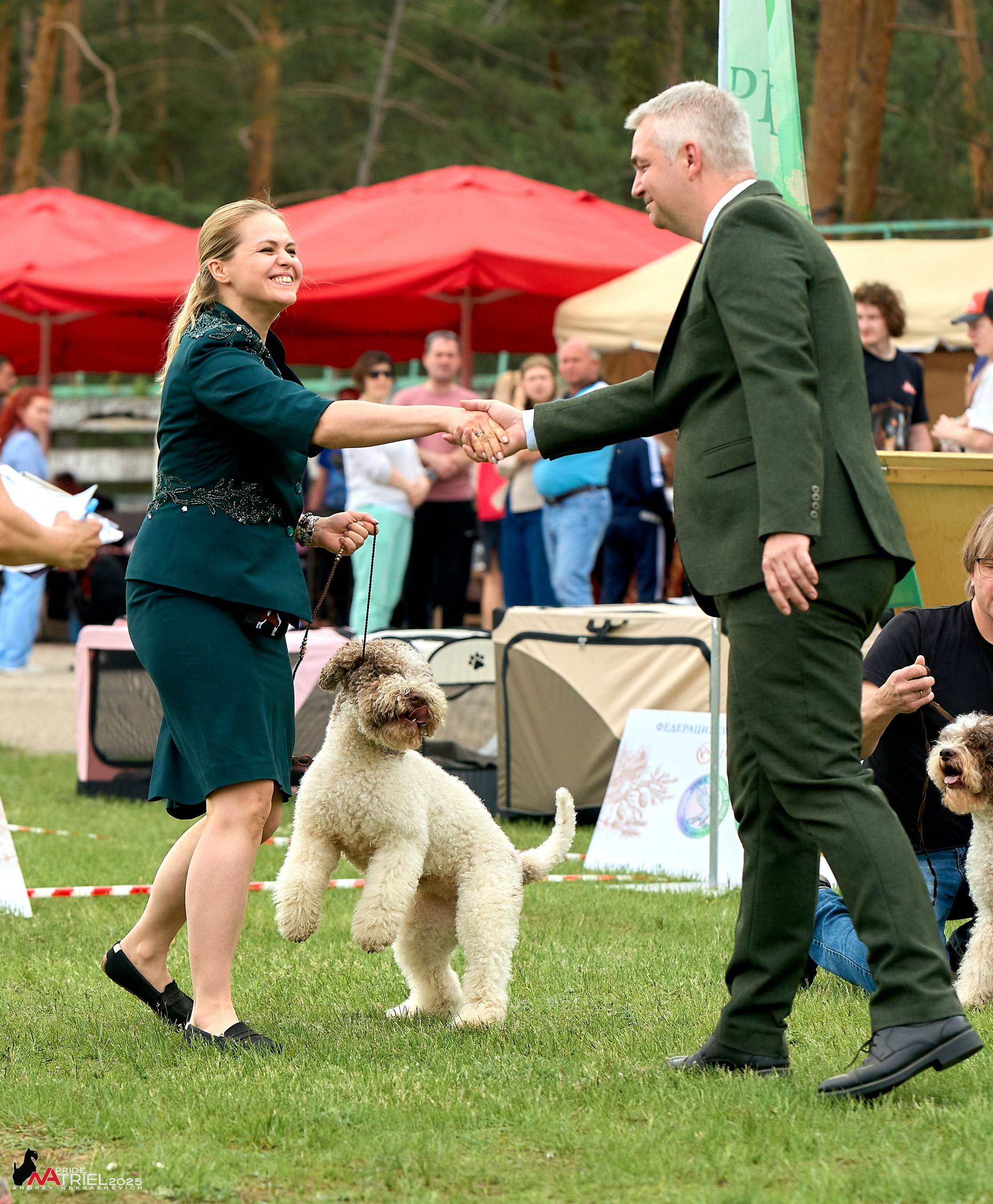 Выставка собак Суздаль-Владимир