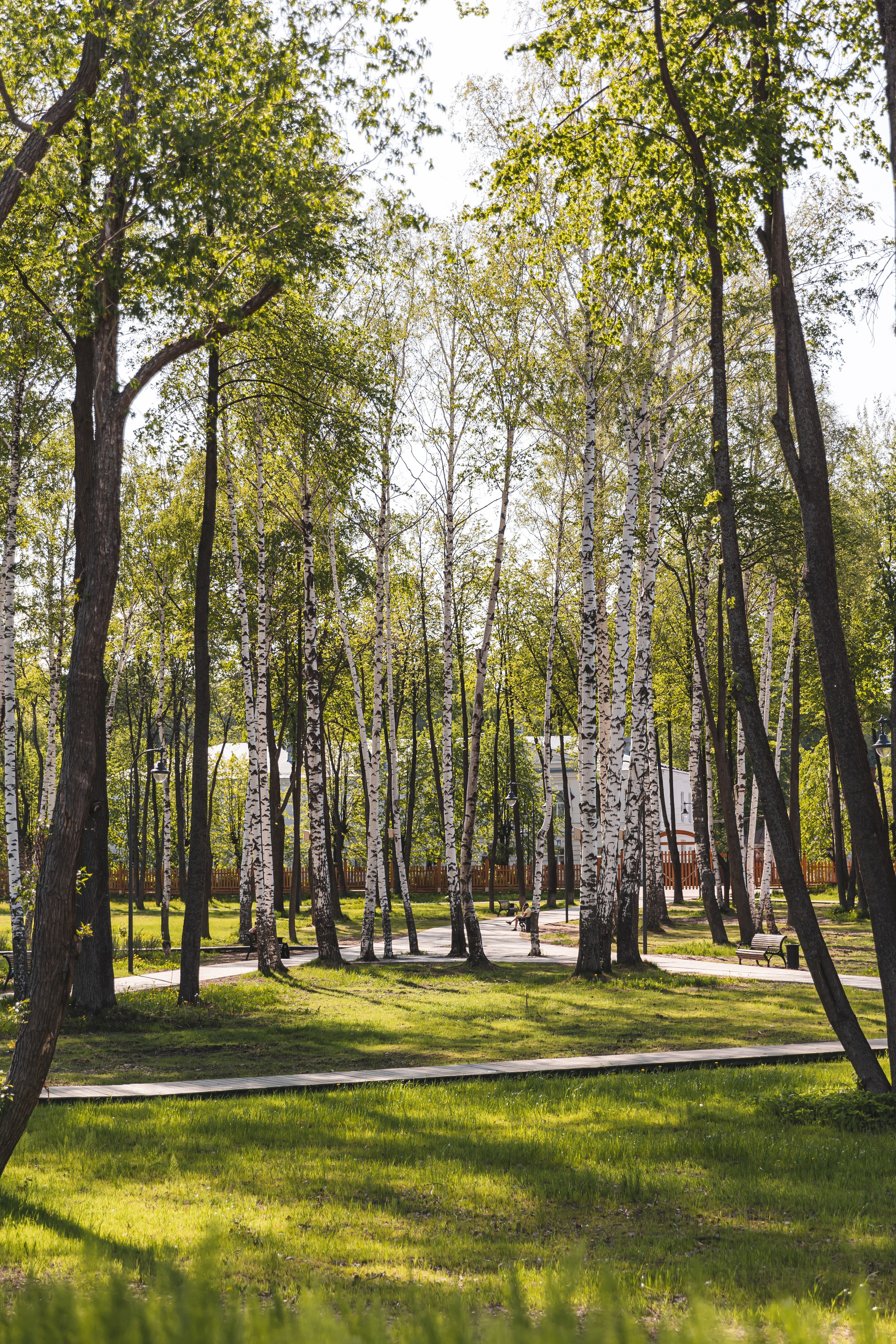 Общественные пространства. Наталья Летунова — интерьерный фотограф в Иванове
