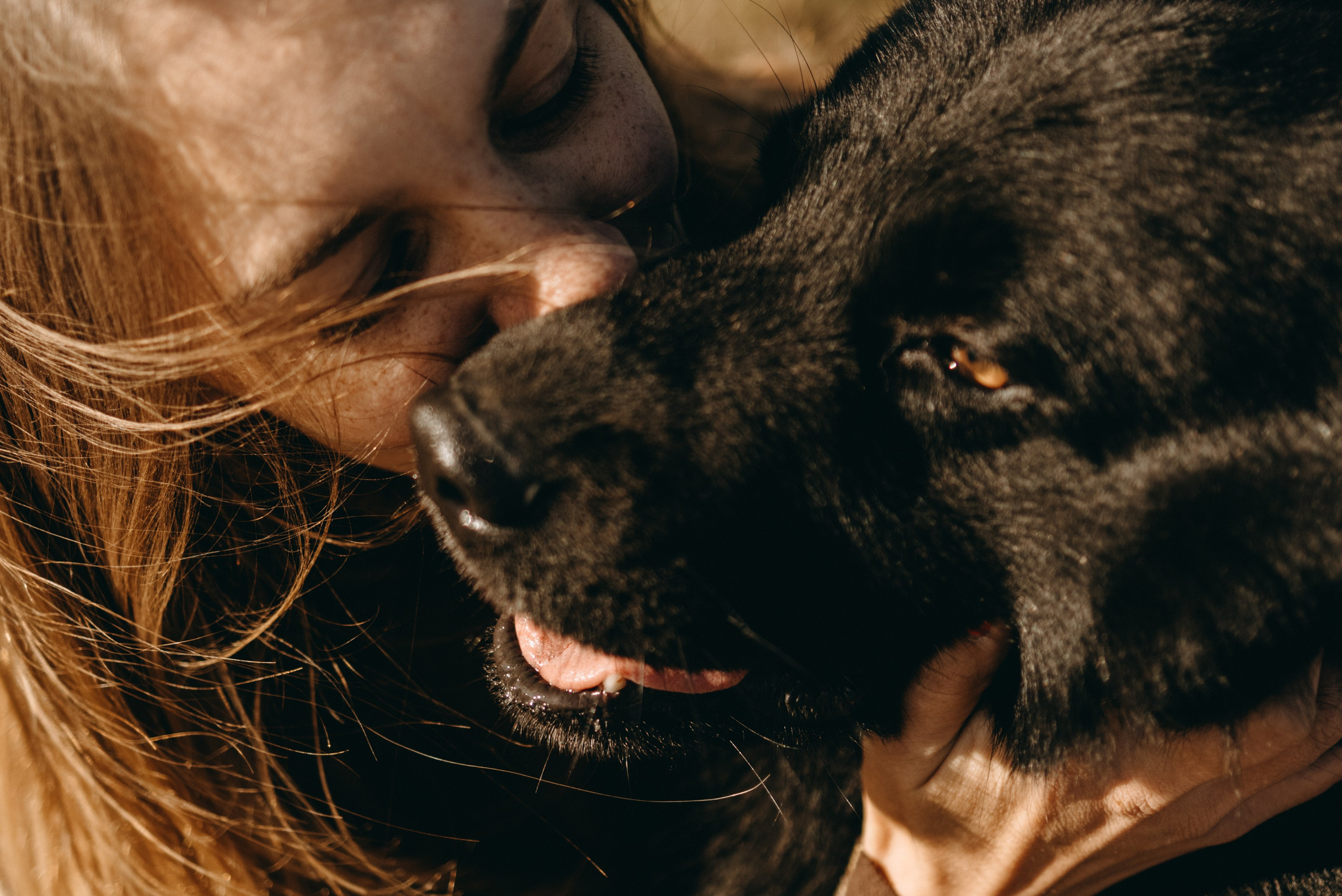 Лора и Джанго. Фотограф — Анималист | Санкт-Петербург