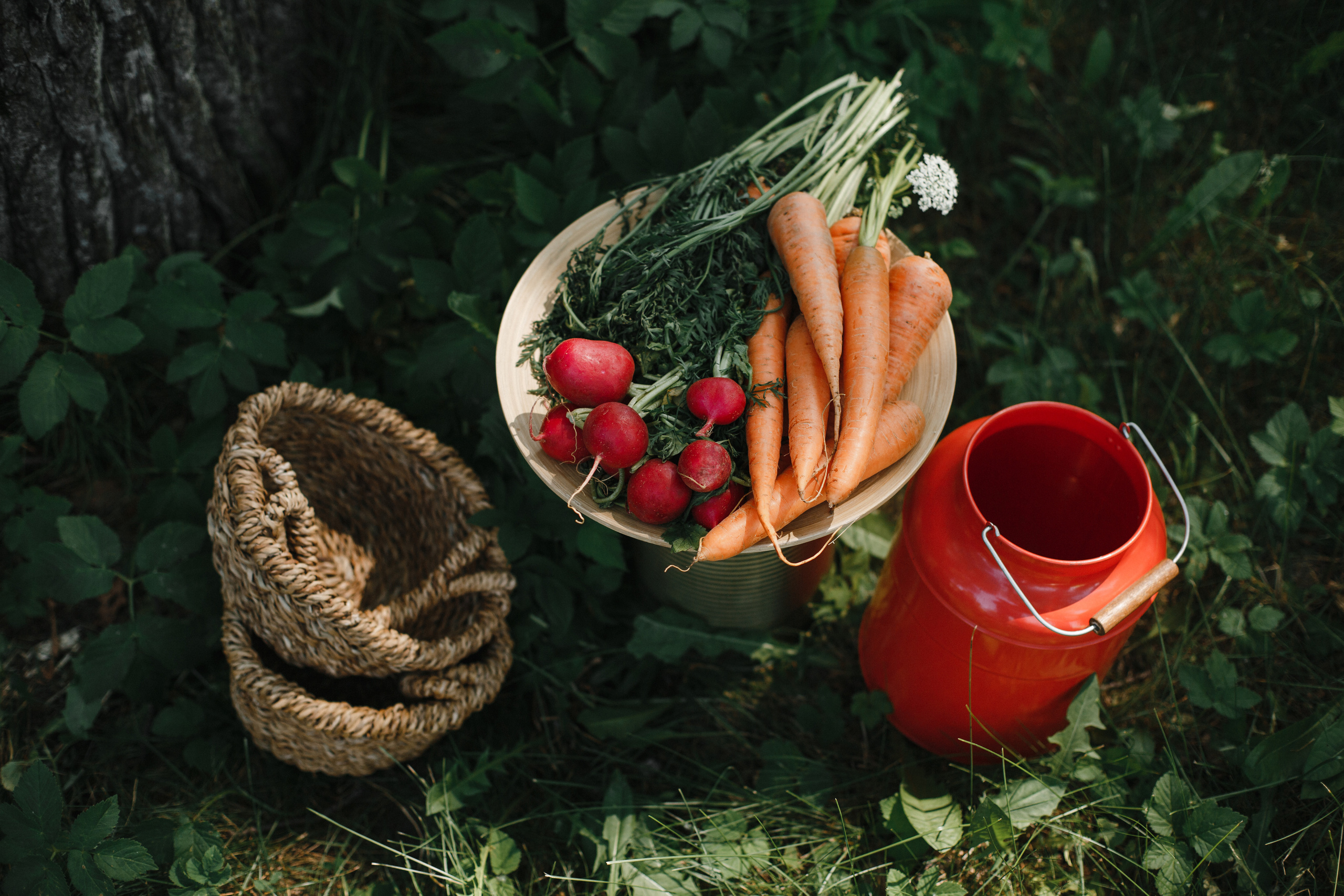 День рождения Марии. Свадебный фотограф СПБ I Иван Ильин