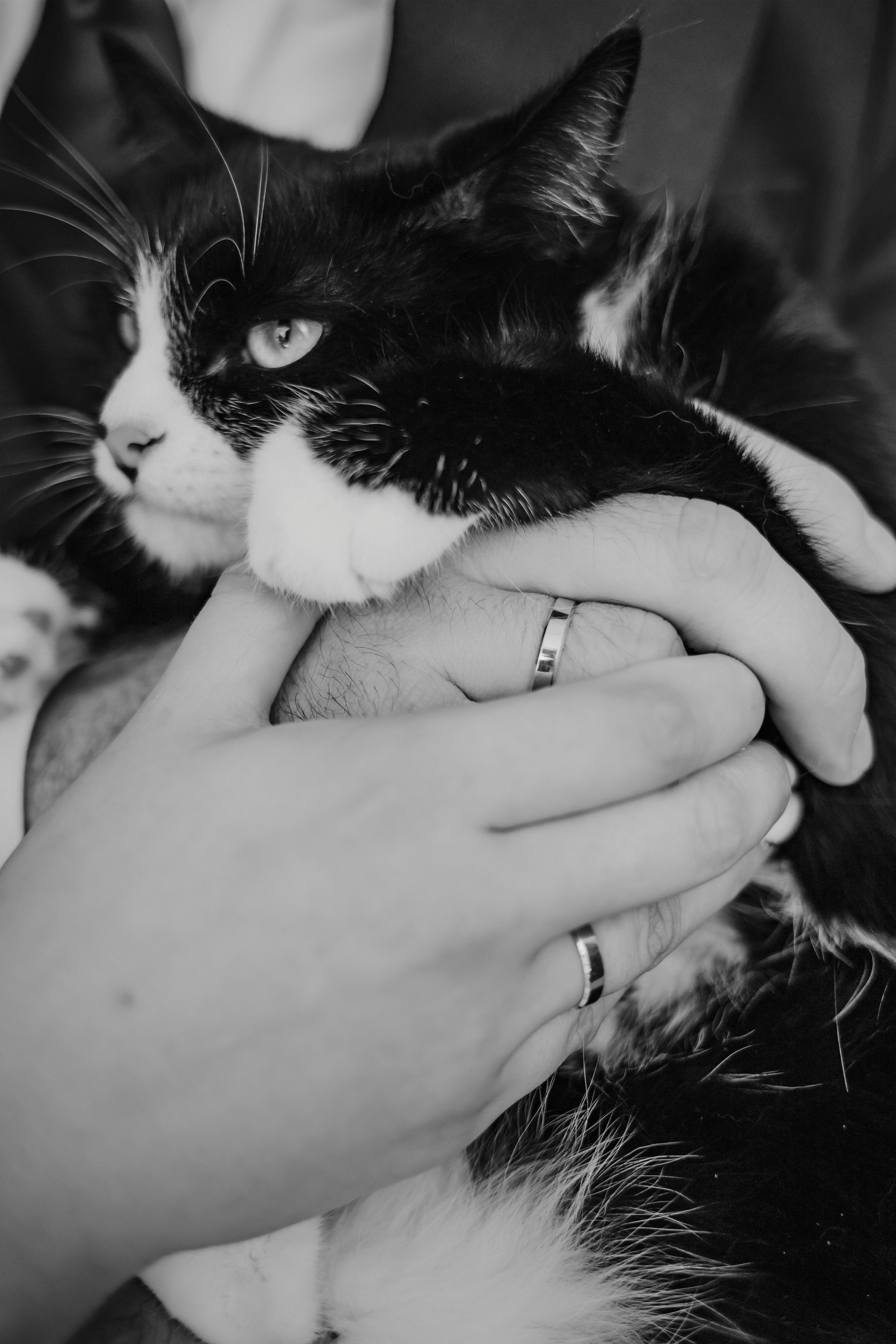 Кирилл Ксения