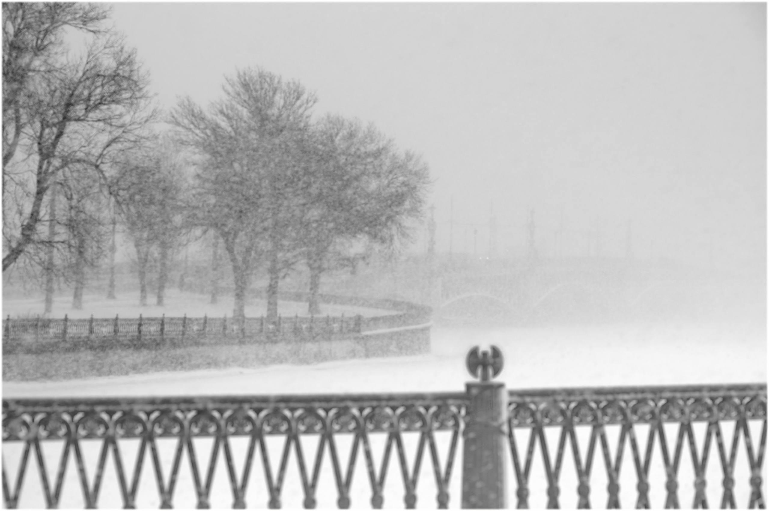 Санкт-Петербург. Вадим Шейдин